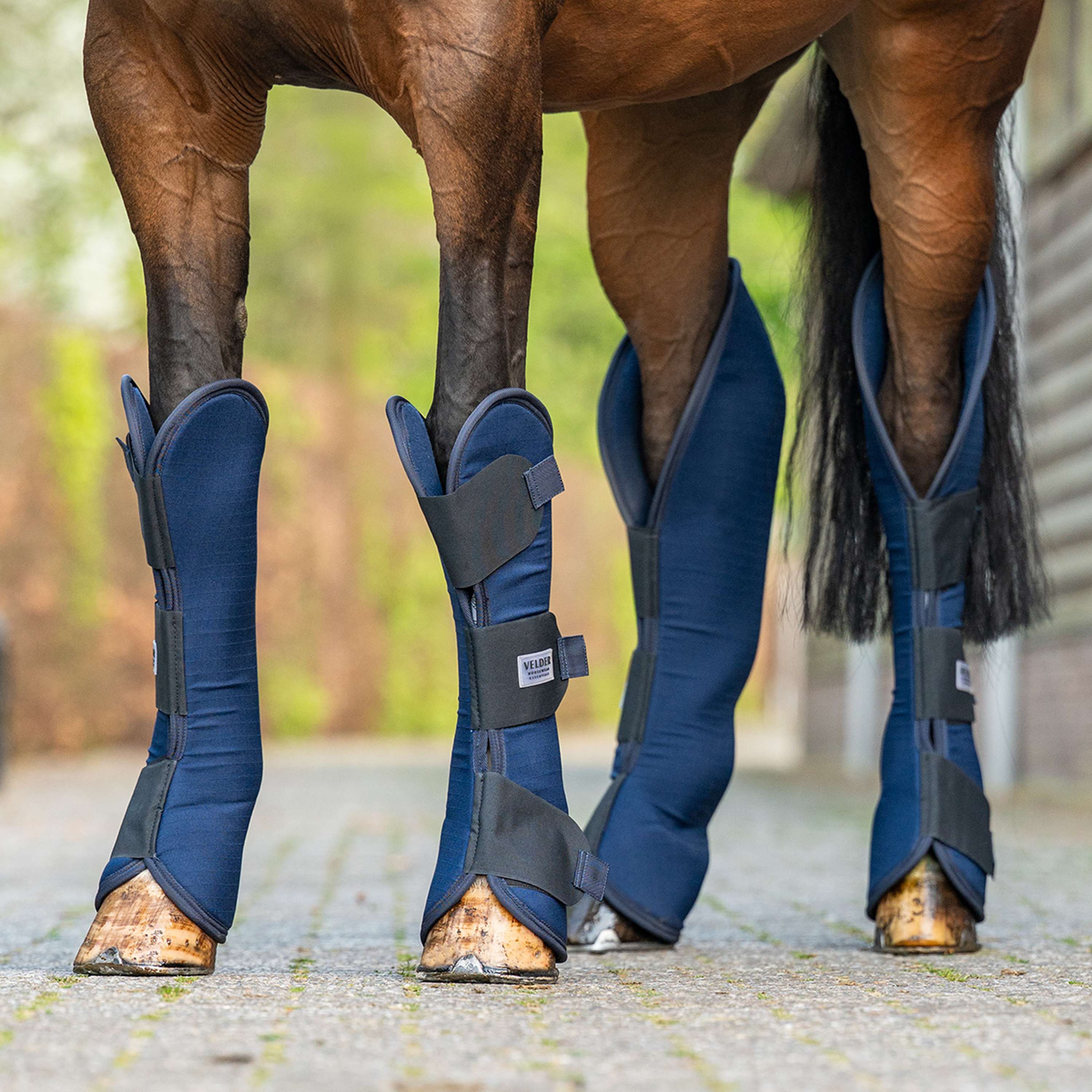 Velder Horsewear Essentials Transport Protectors Navy