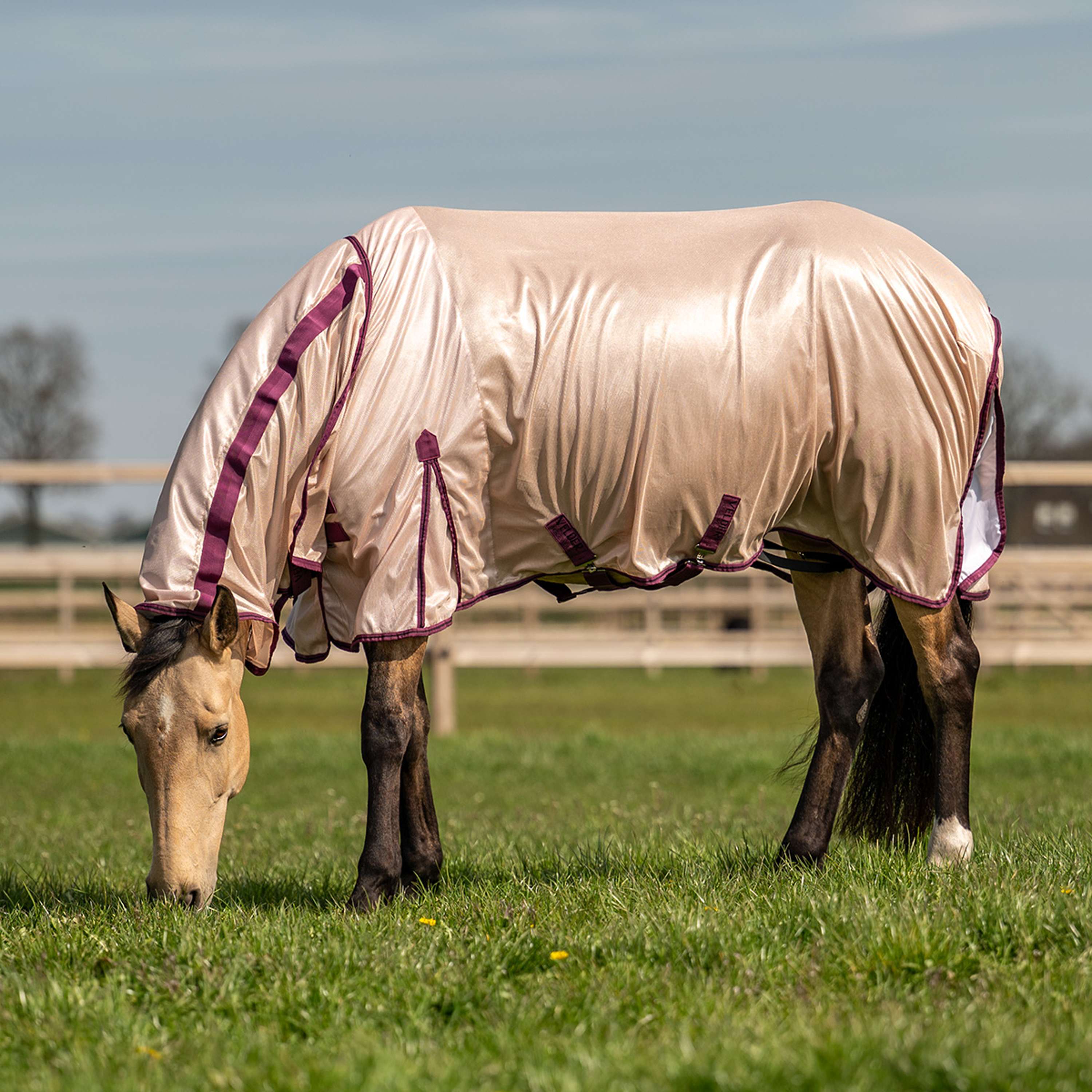 Velder Horsewear Essentials Fly Rug Mesh with a Hood Earth Grey