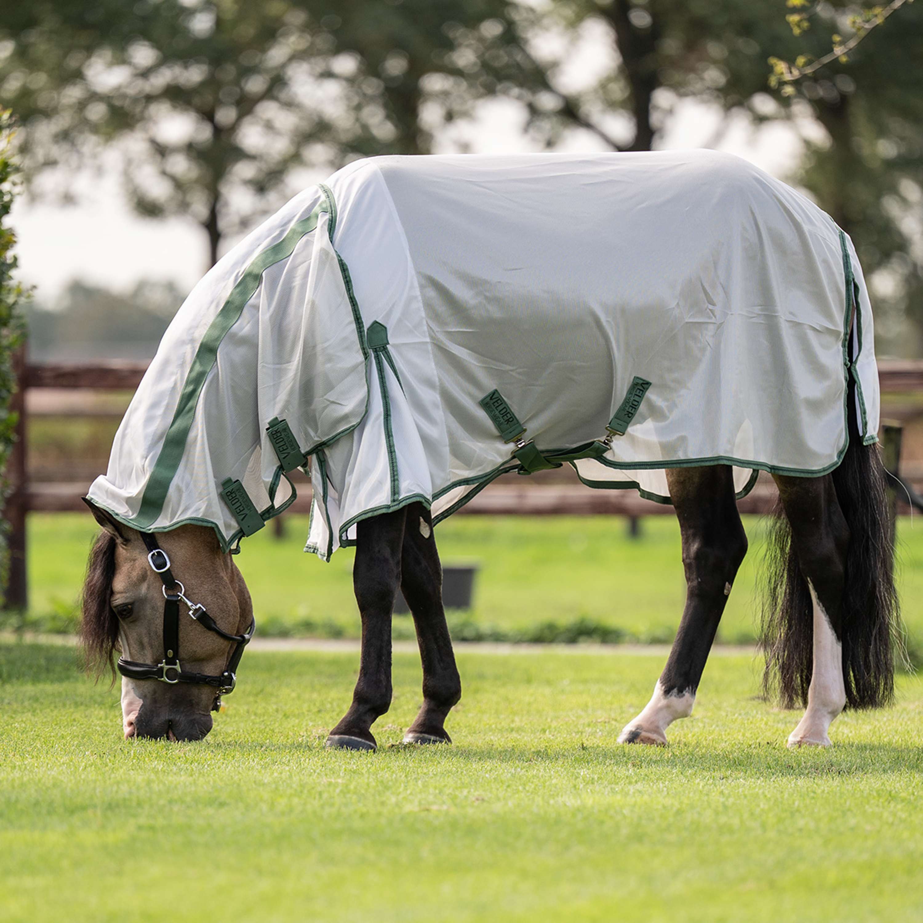 Velder Horsewear Essentials Pony Fly Rug Mesh with a Hood Silver