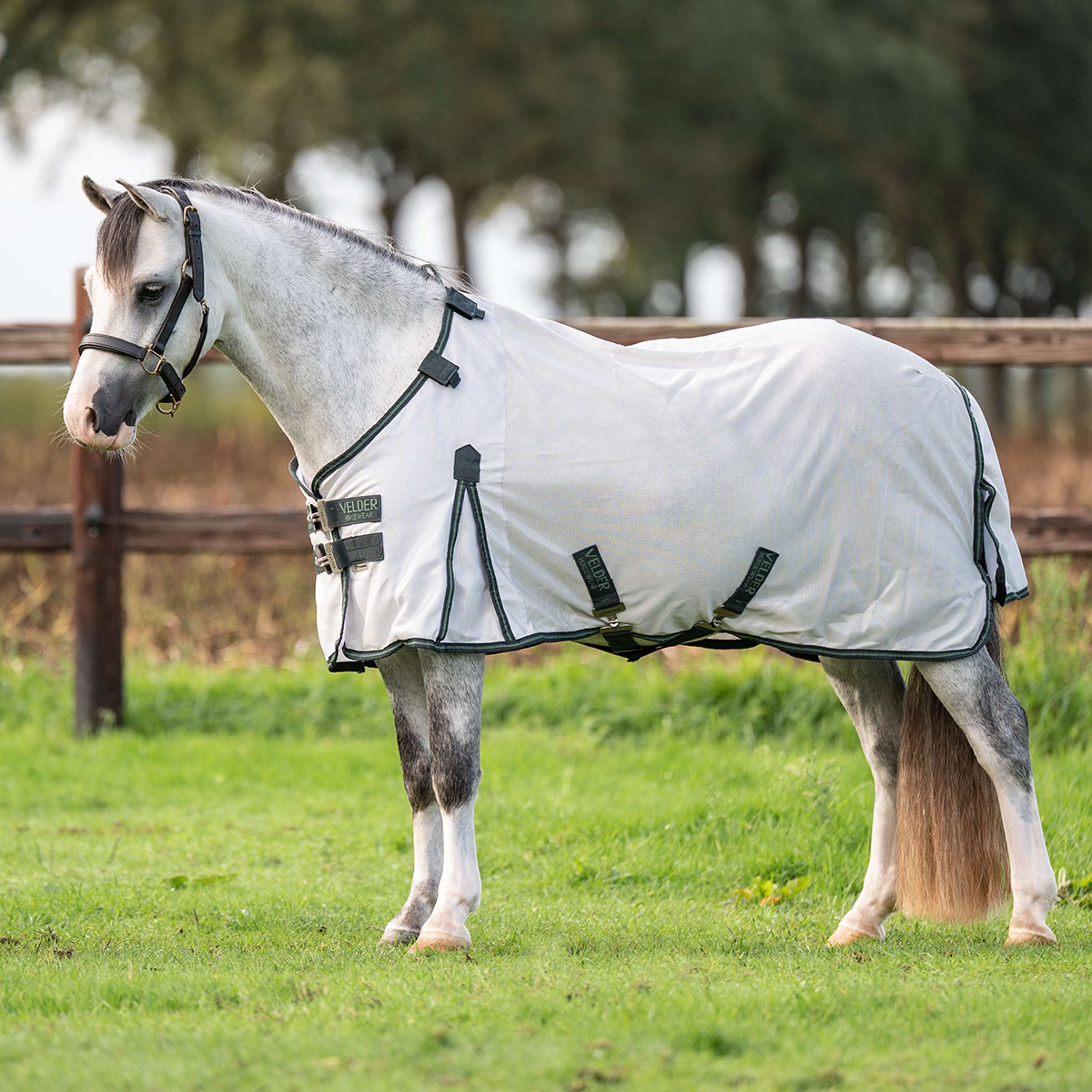 Velder Horsewear Premium Pony Fly Rug Guardian AirMesh Silver Mist