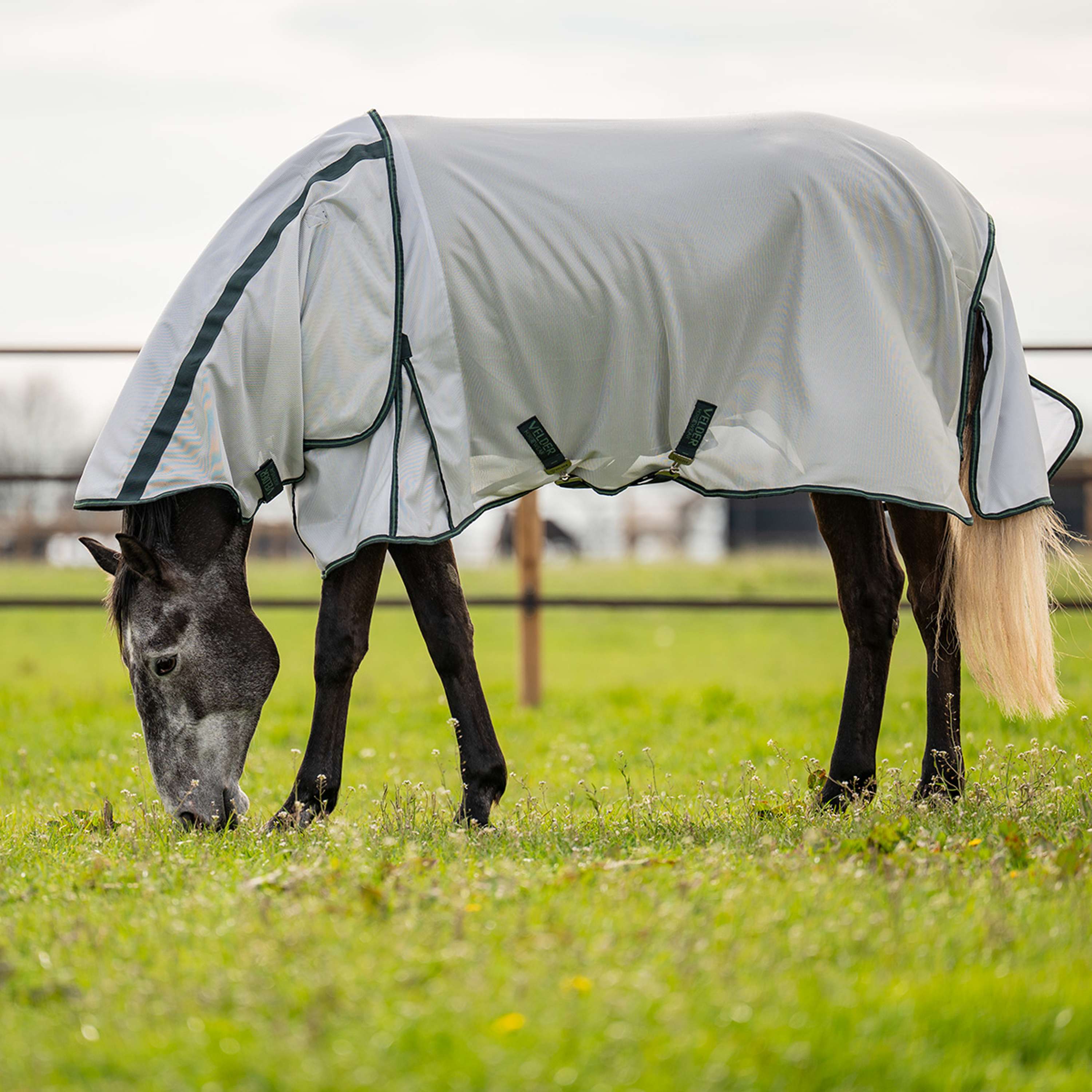 Velder Horsewear Premium Fly Rug Guardian AirMesh Silver Mist