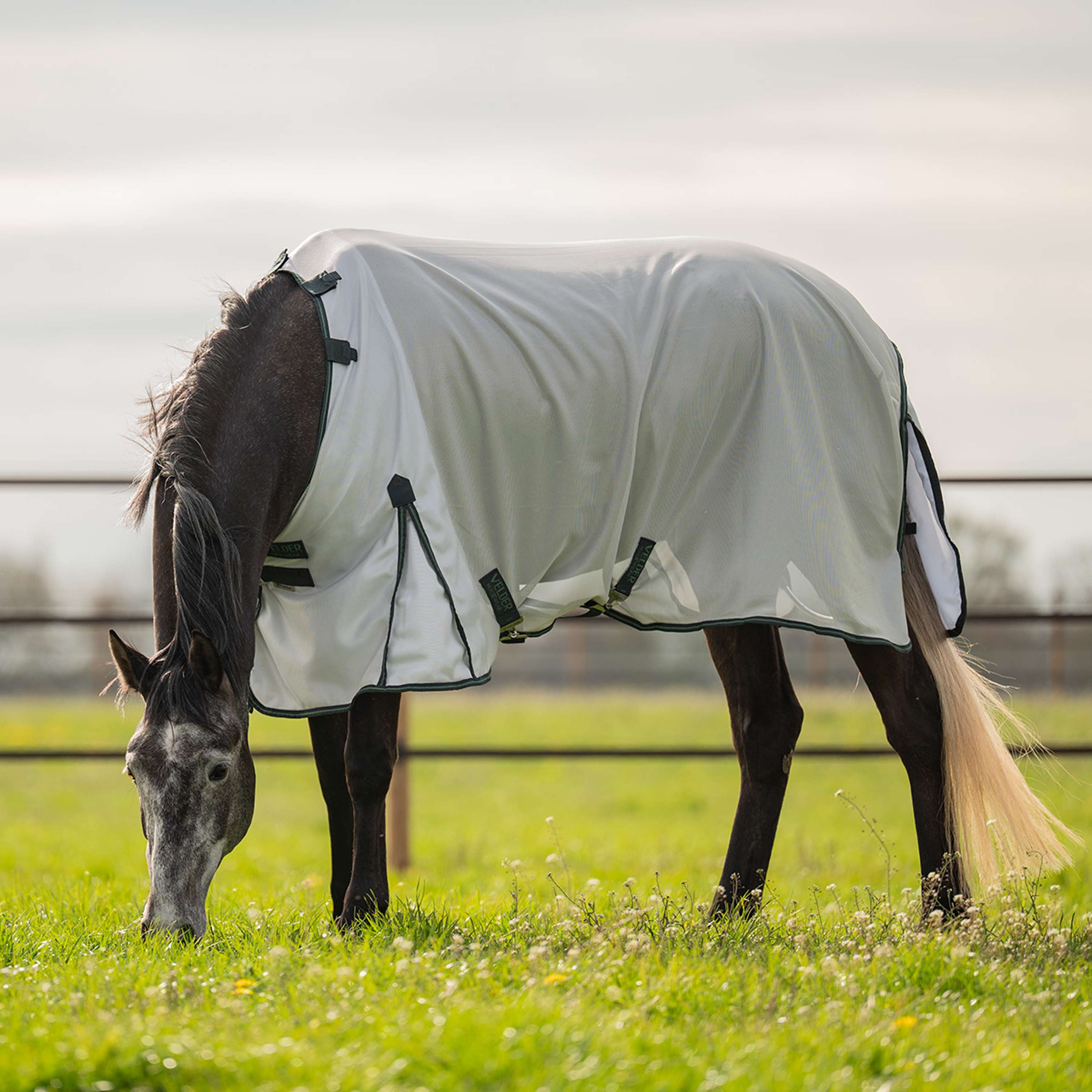 Velder Horsewear Premium Fly Rug Guardian AirMesh Silver Mist