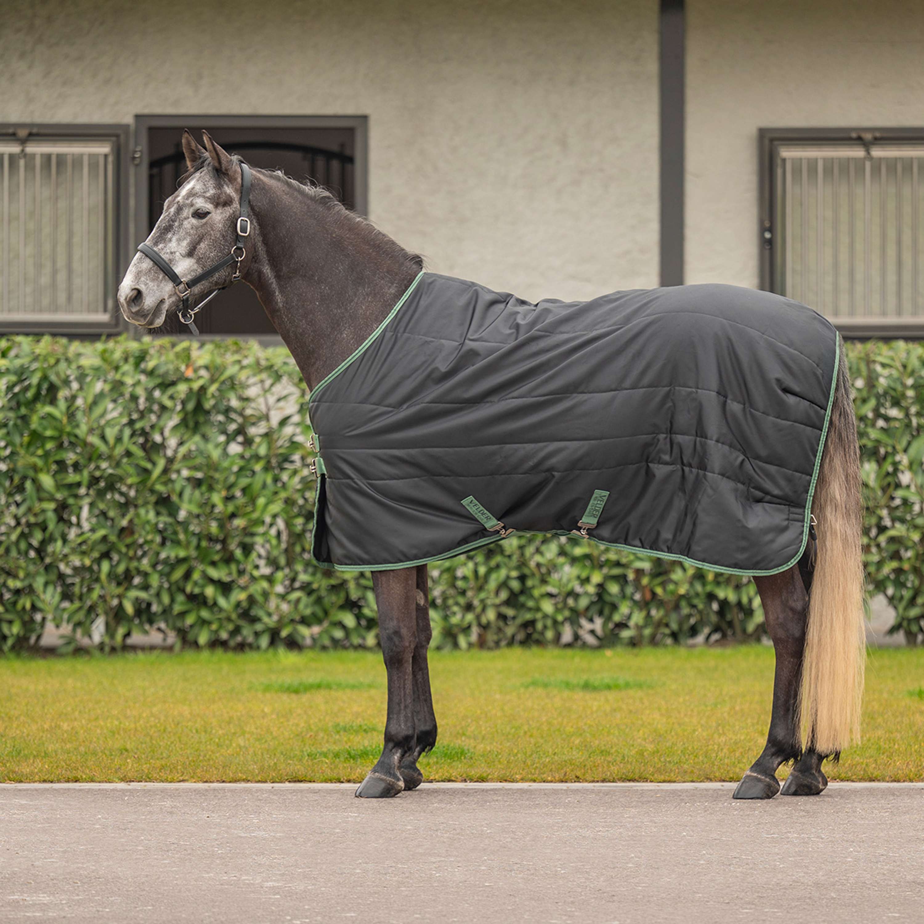 Velder Horsewear Premium Stable Rug 210D 100g Black