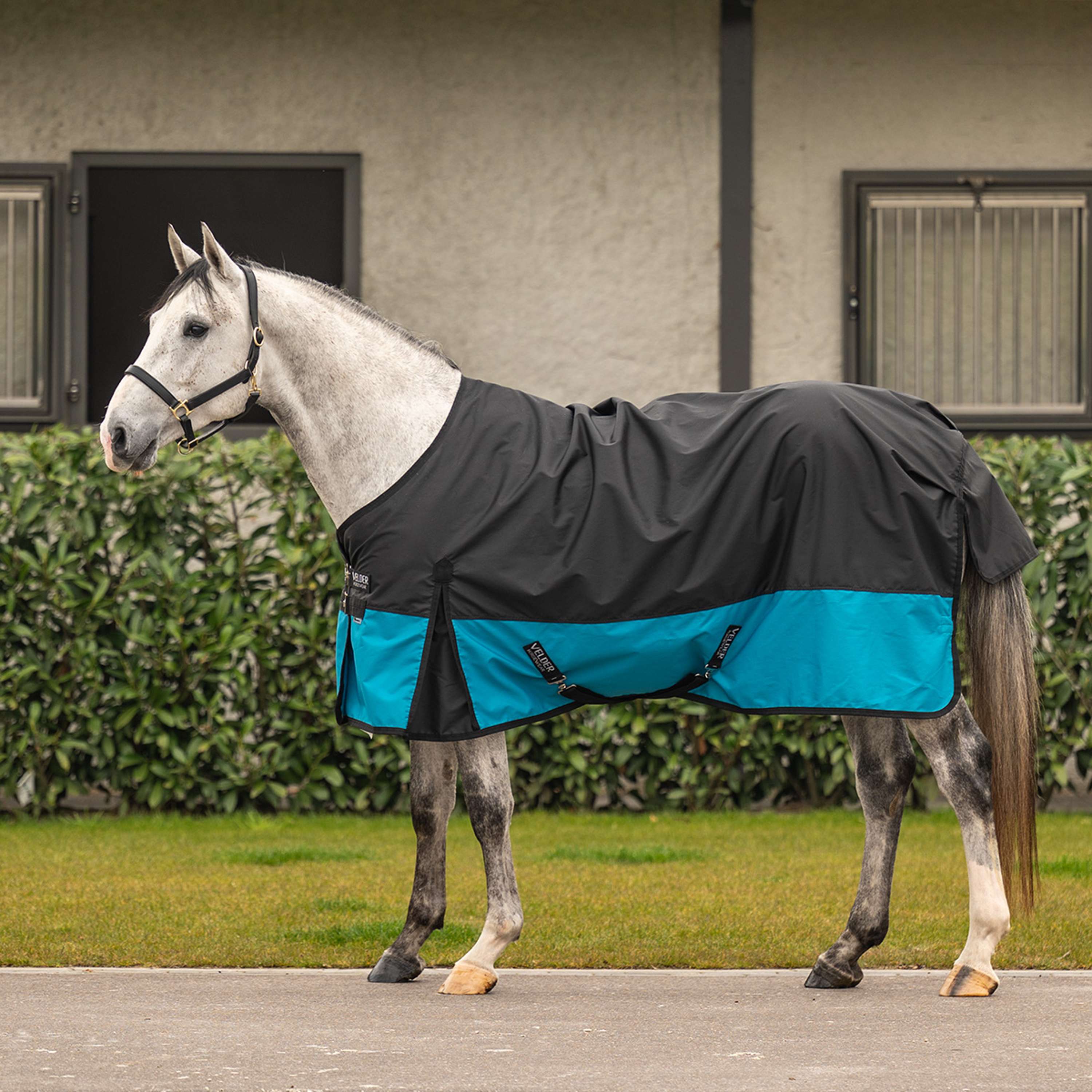 Velder Horsewear Essentials Classic Turnout Rug 600D 0g Black