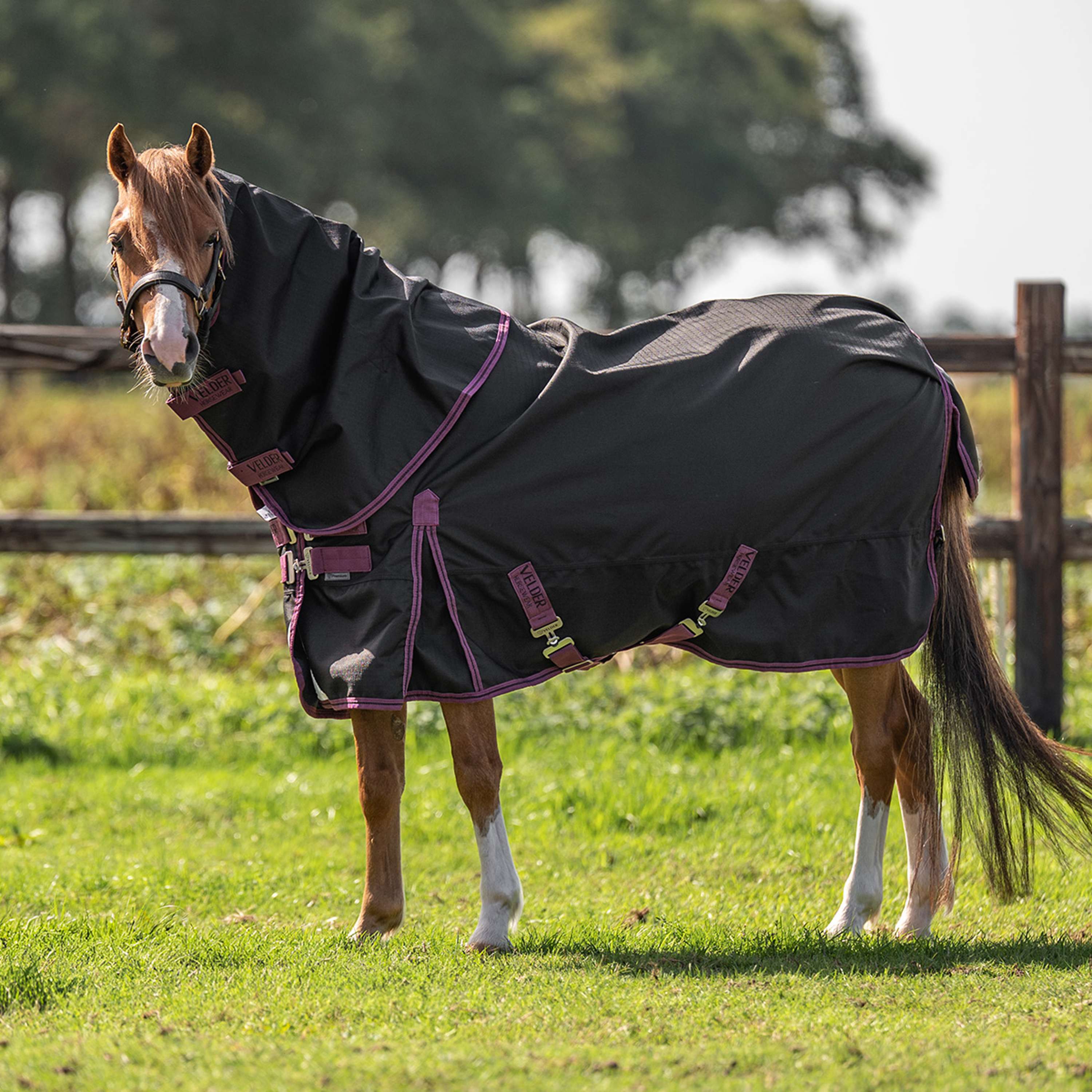 Velder Horsewear Premium Pony Turnout Rug 1200D 0g Black
