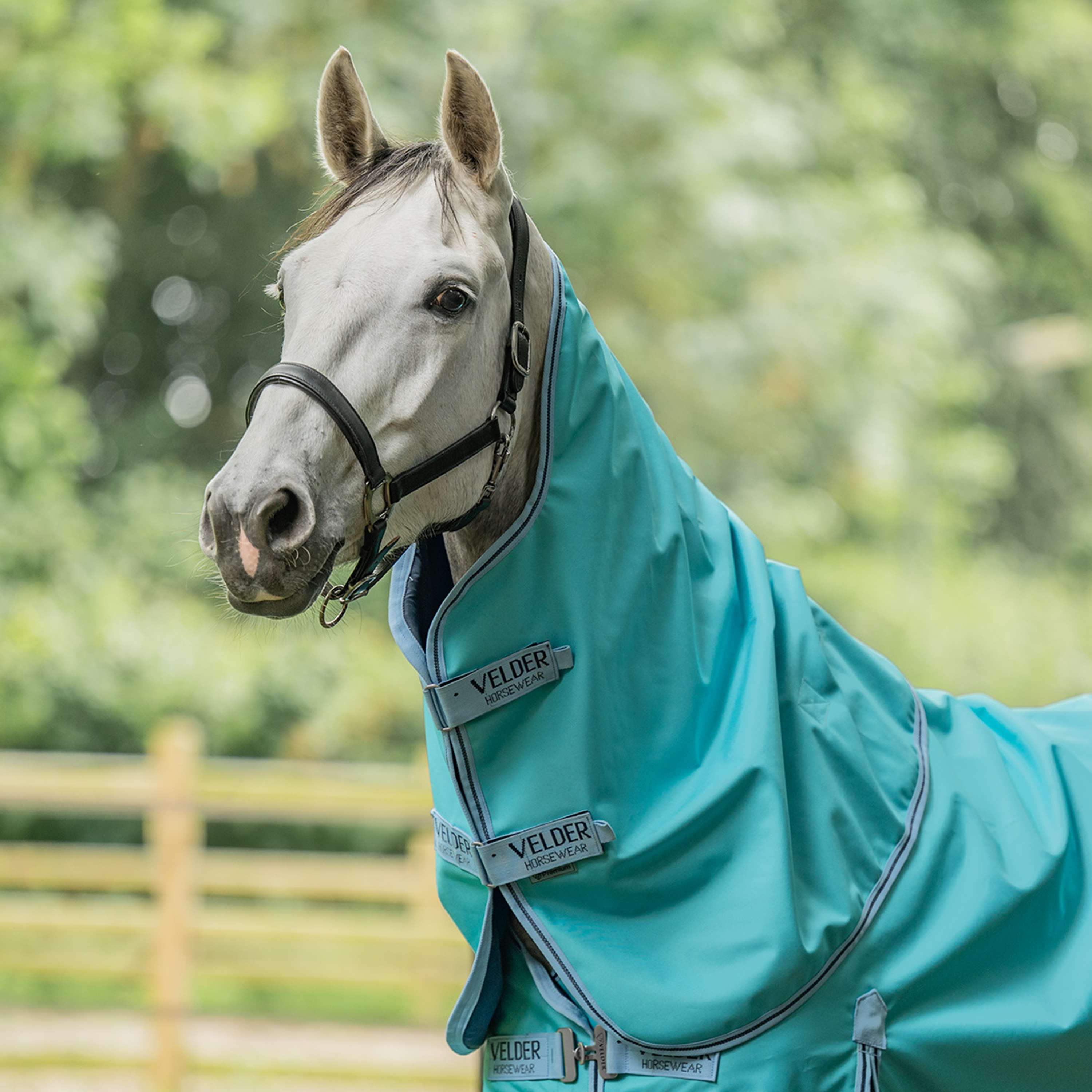 Velder Horsewear Premium Turnout Rug 900D 0g Sky Blue
