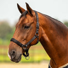 Velder Horsewear Premium Halter Satin Glow Black