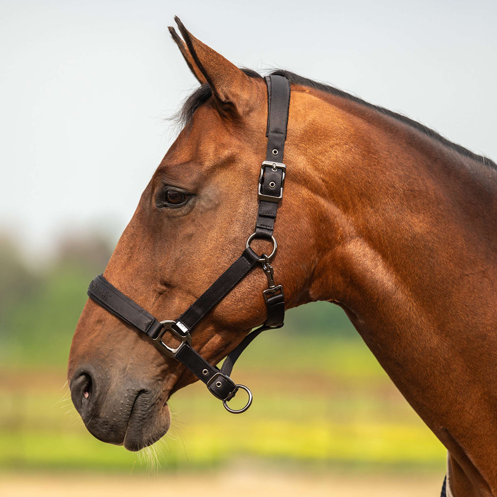 Velder Horsewear Premium Halter Satin Glow Black