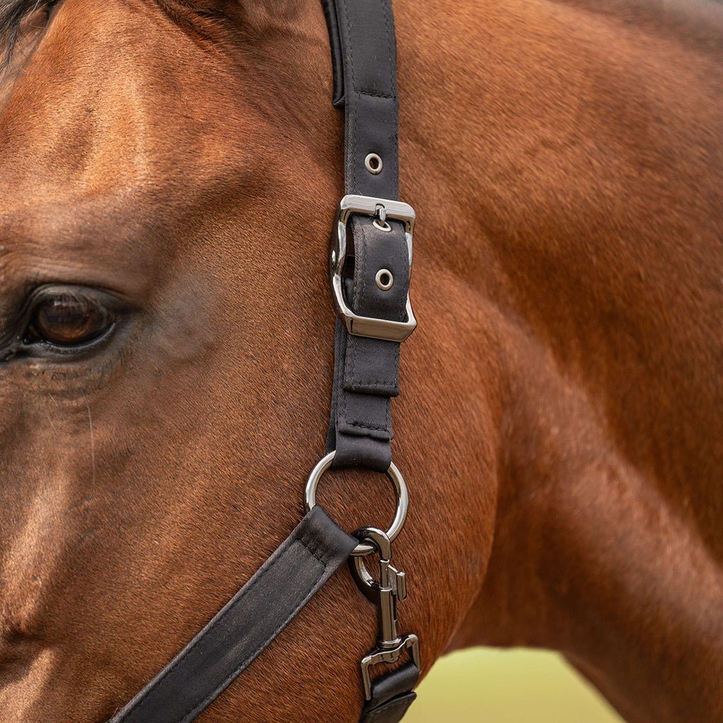 Velder Horsewear Premium Halter Satin Glow Black
