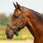 Velder Horsewear Premium Halter Satin Glow Olive Mist