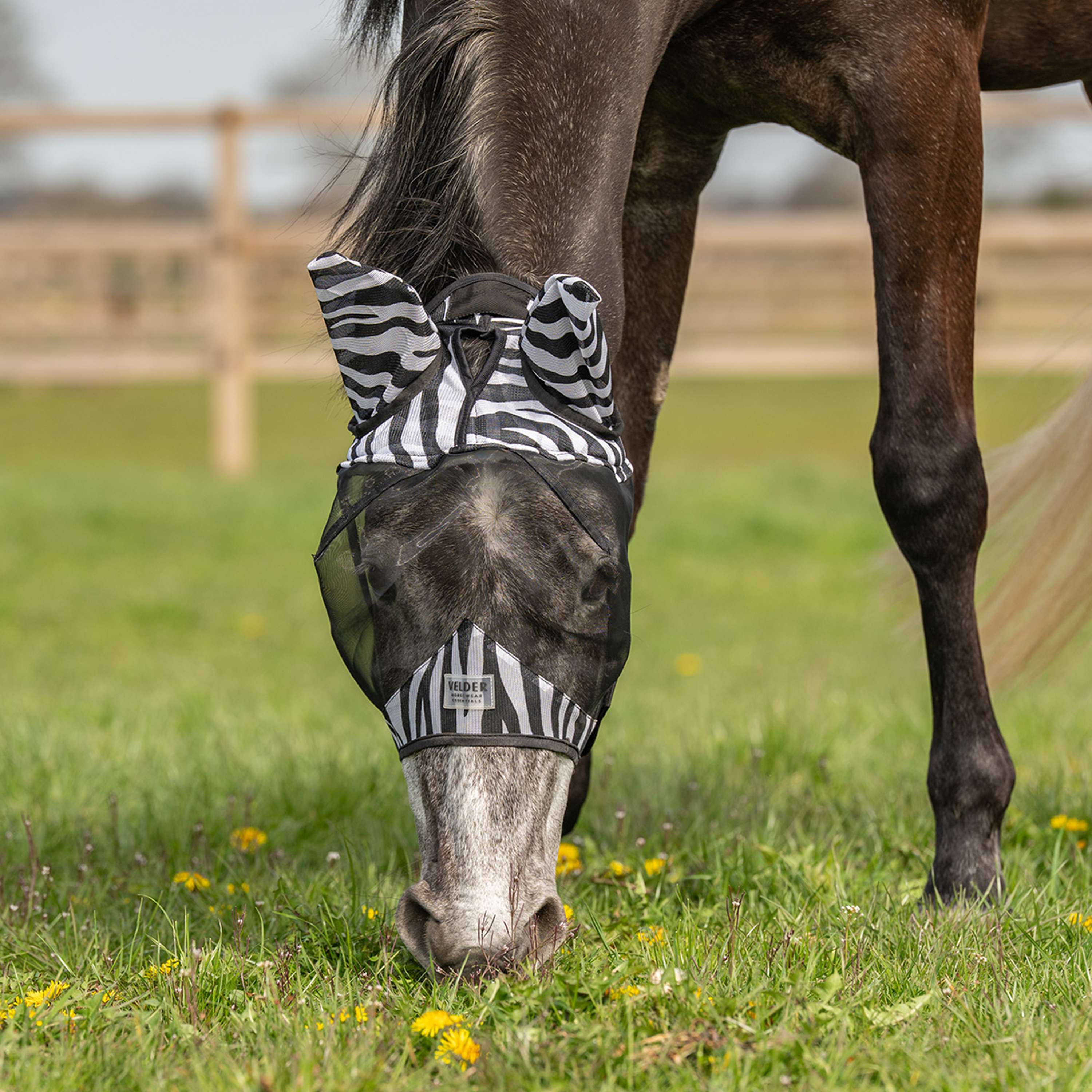 Velder Horsewear Essentials Fly Mask Zebra with Ears Black/White