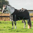 Velder Horsewear Premium Pony Turnout 1200D 0g EasyClip Night Forest