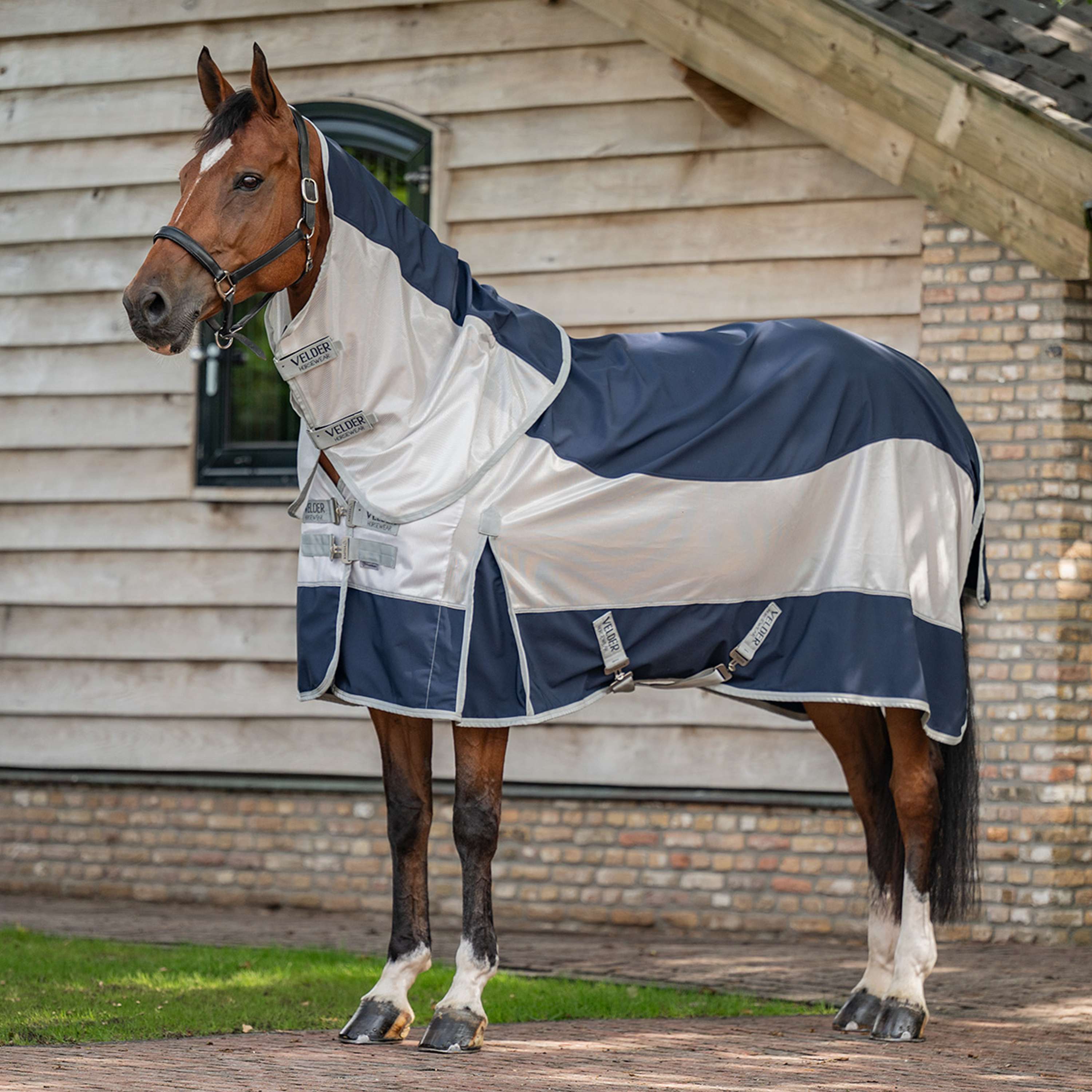 Velder Horsewear Premium Fly Rug Rainless Fall Navy/Pearl Silver