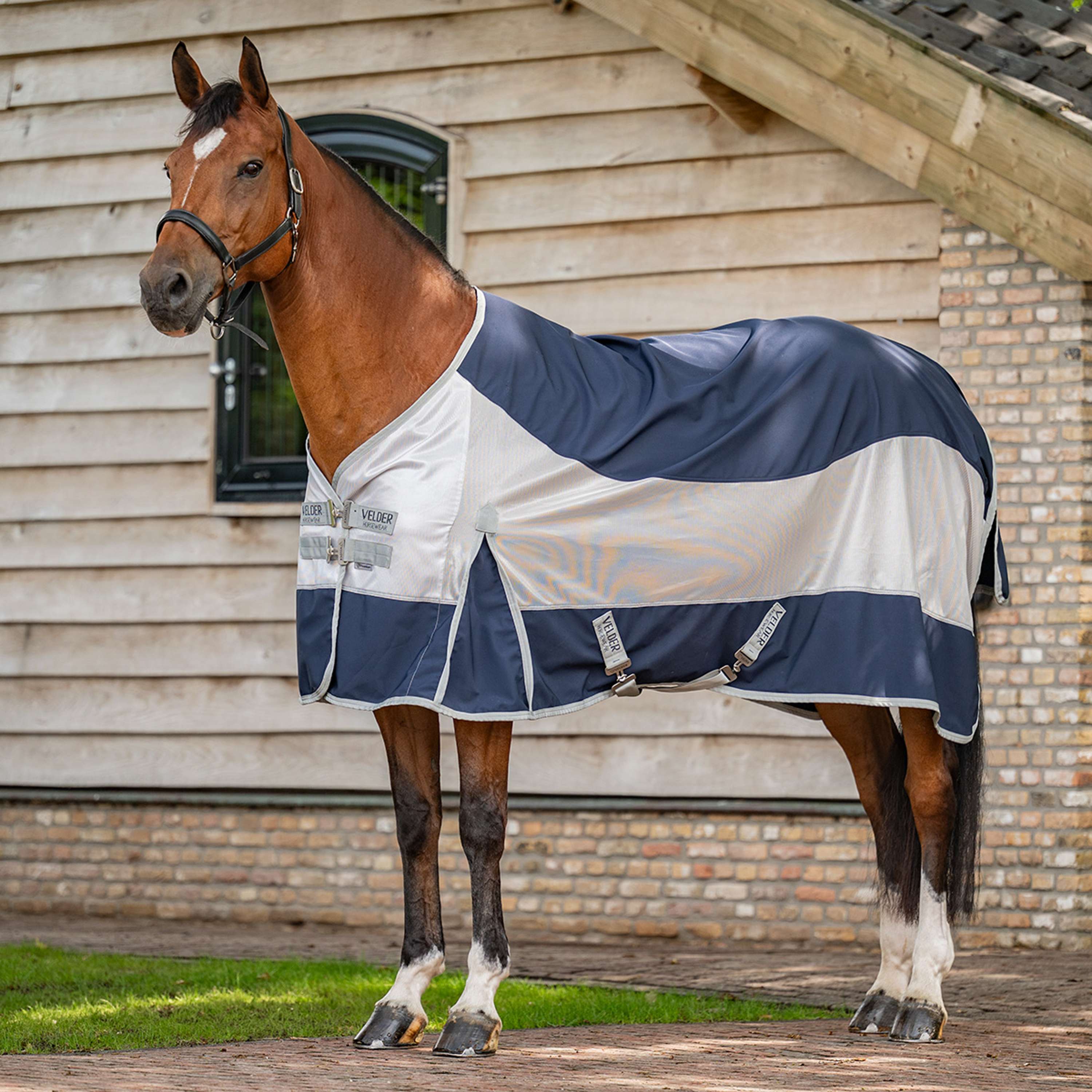 Velder Horsewear Premium Fly Rug Rainless Fall Navy/Pearl Silver
