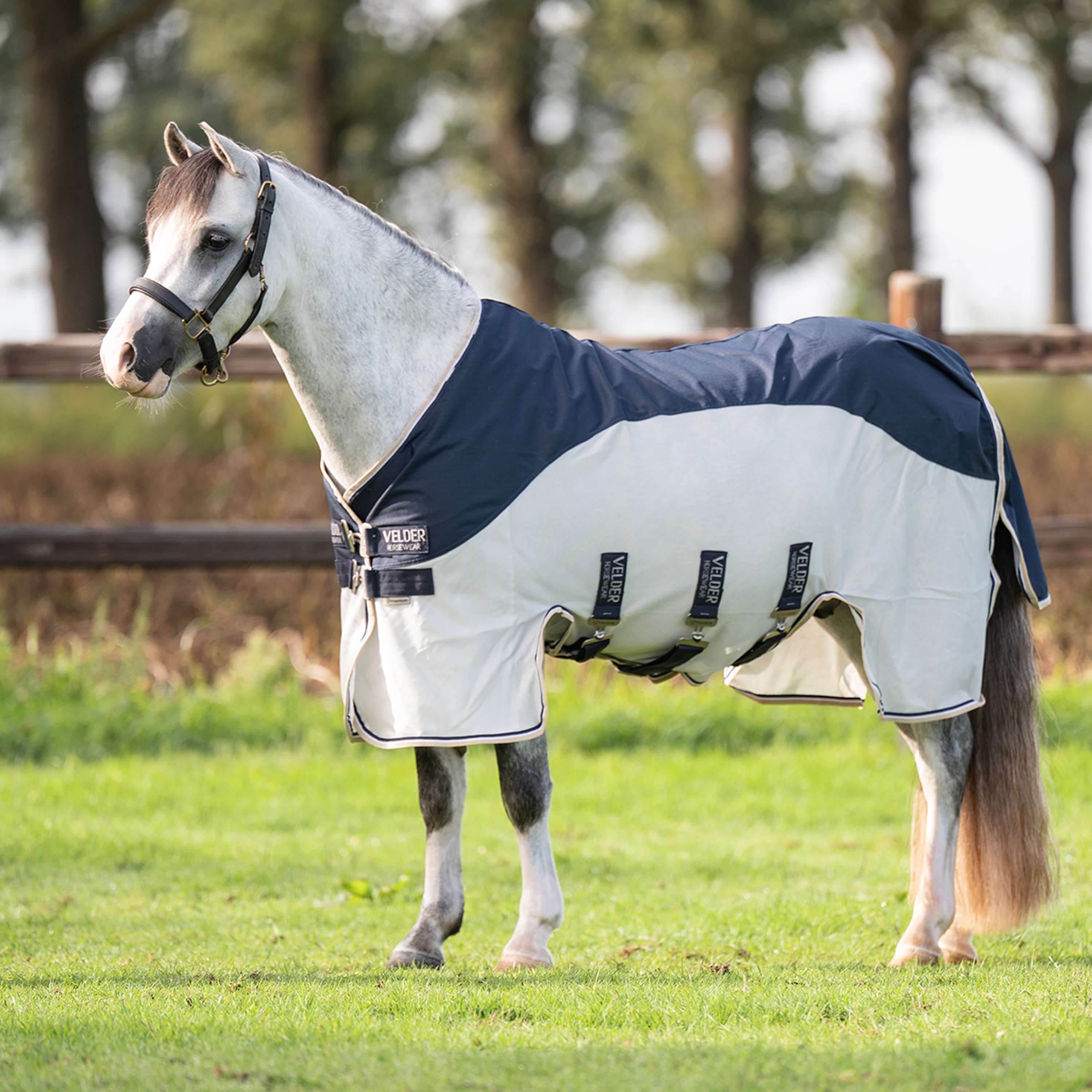 Velder Horsewear Premium Pony Fly Rug Waterproof-Top Navy/Pearl Silver
