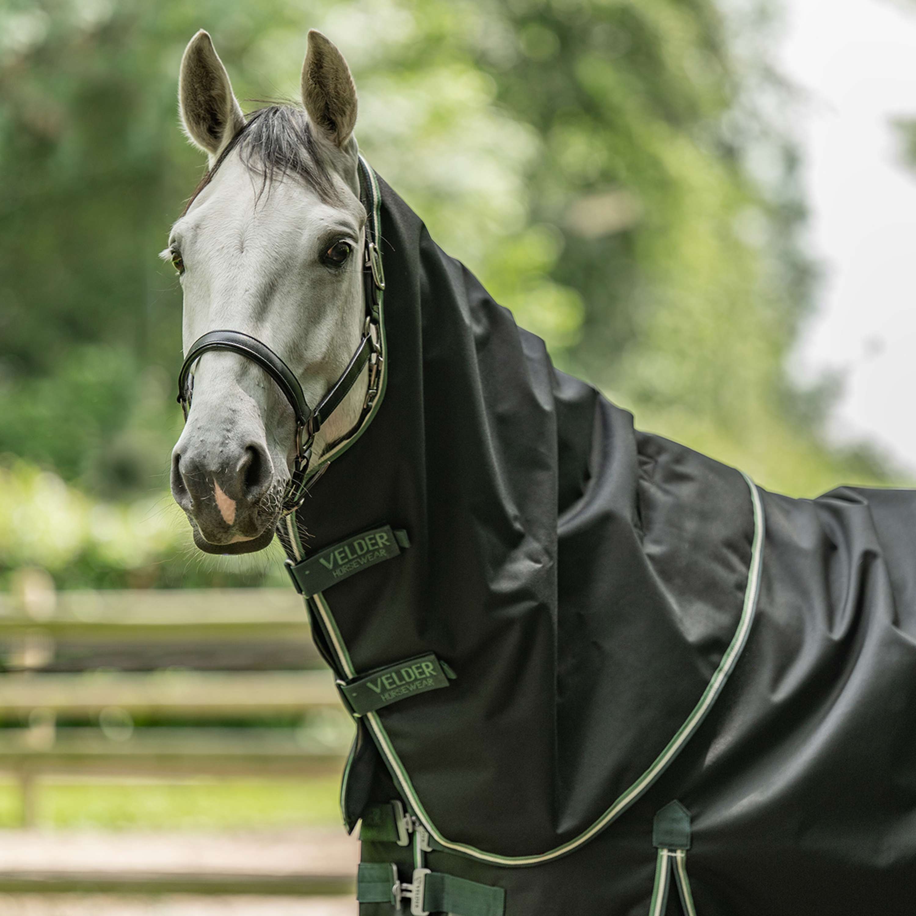 Velder Horsewear Premium Turnout 1200D 0g T Bar Night Forest
