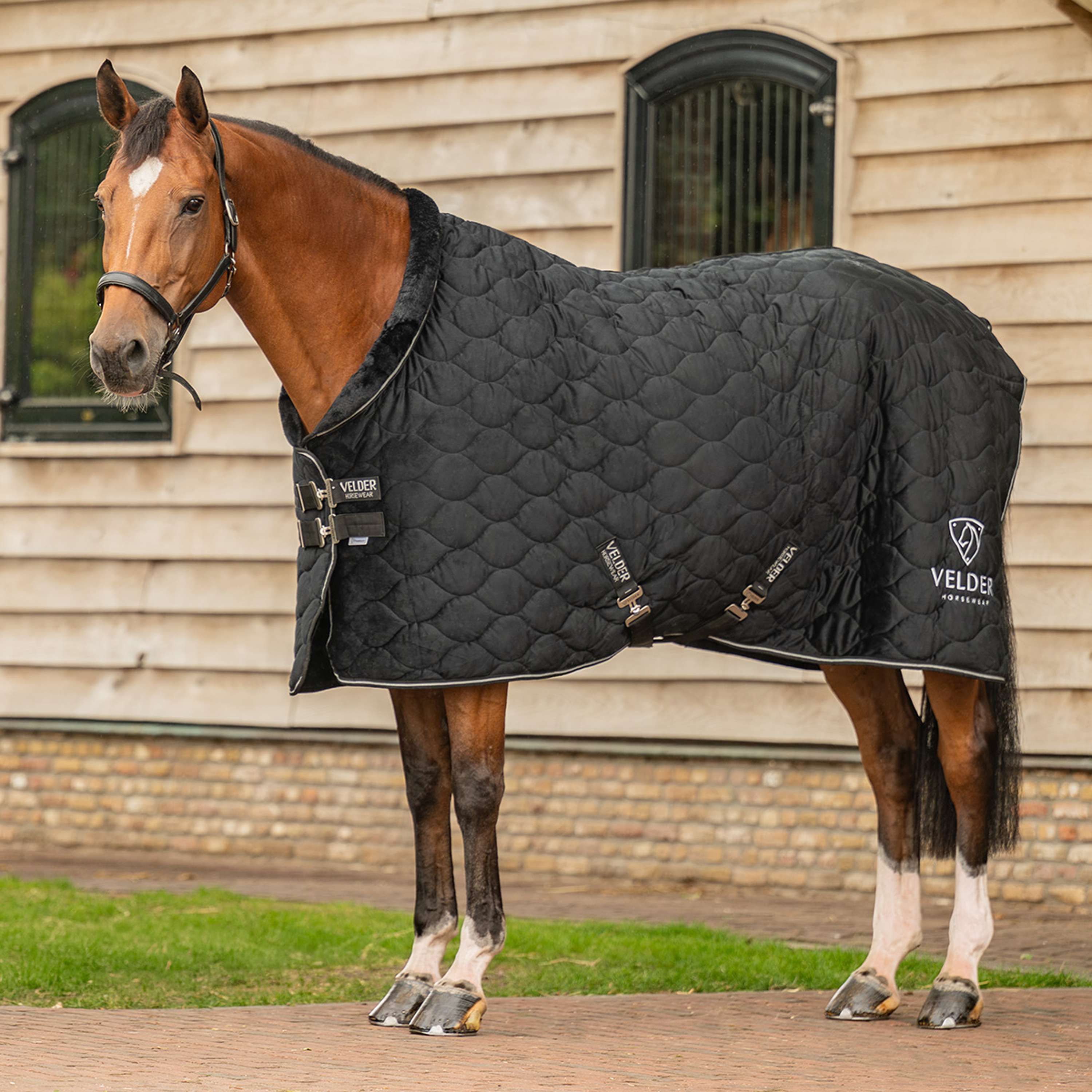 Velder Horsewear Premium Show Rug Satin Glow Black Night