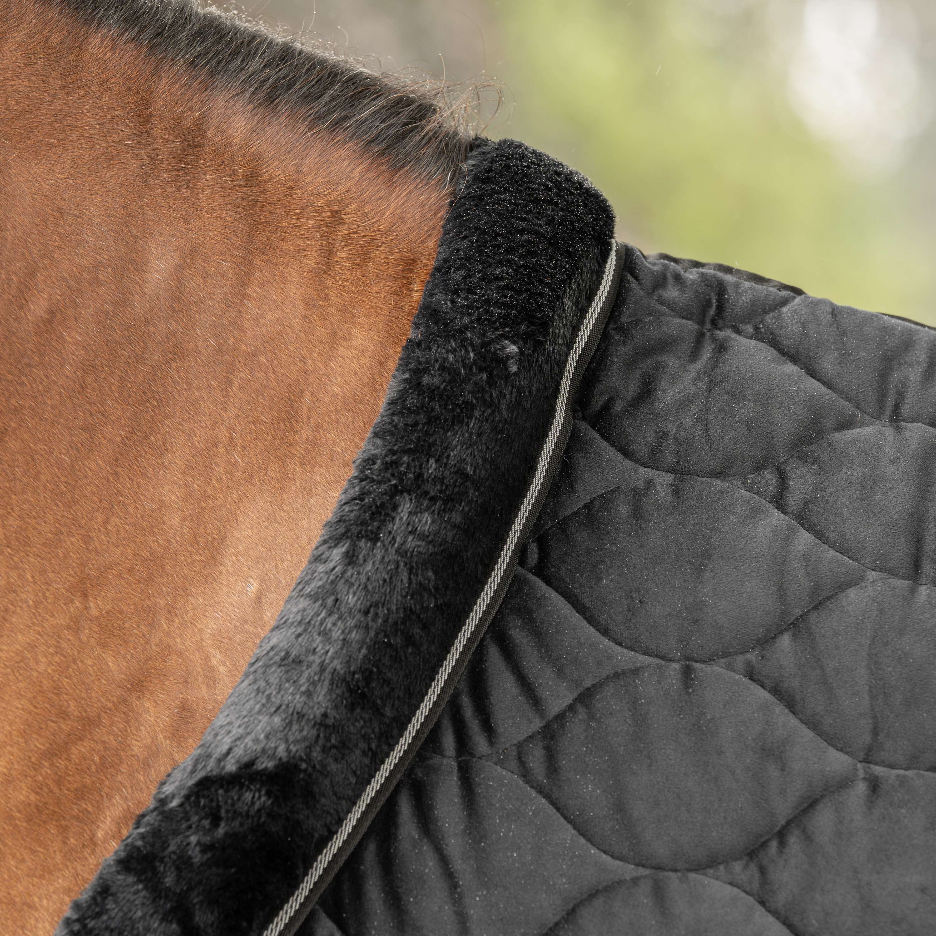 Velder Horsewear Premium Show Rug Satin Glow Black Night