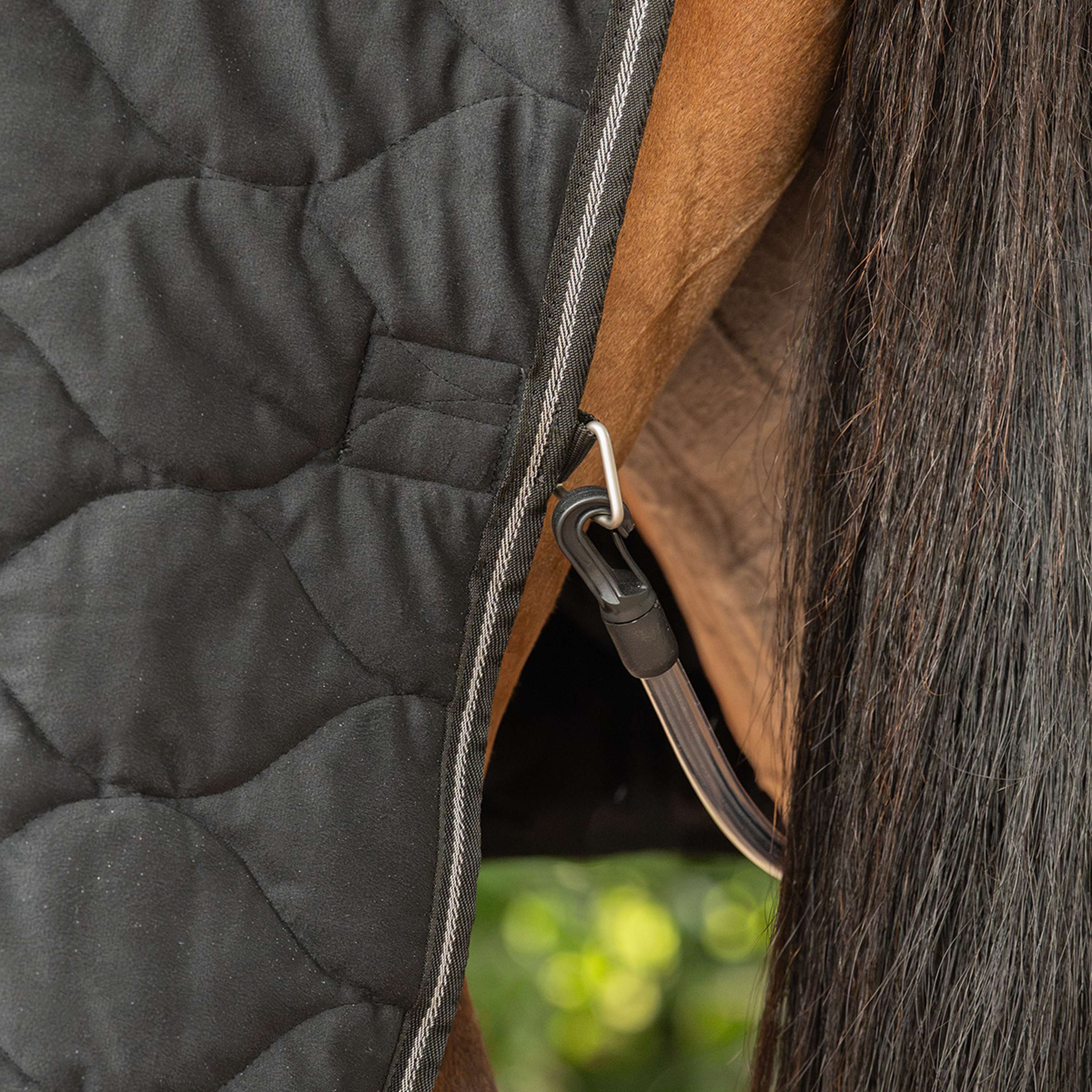 Velder Horsewear Premium Show Rug Satin Glow Black Night