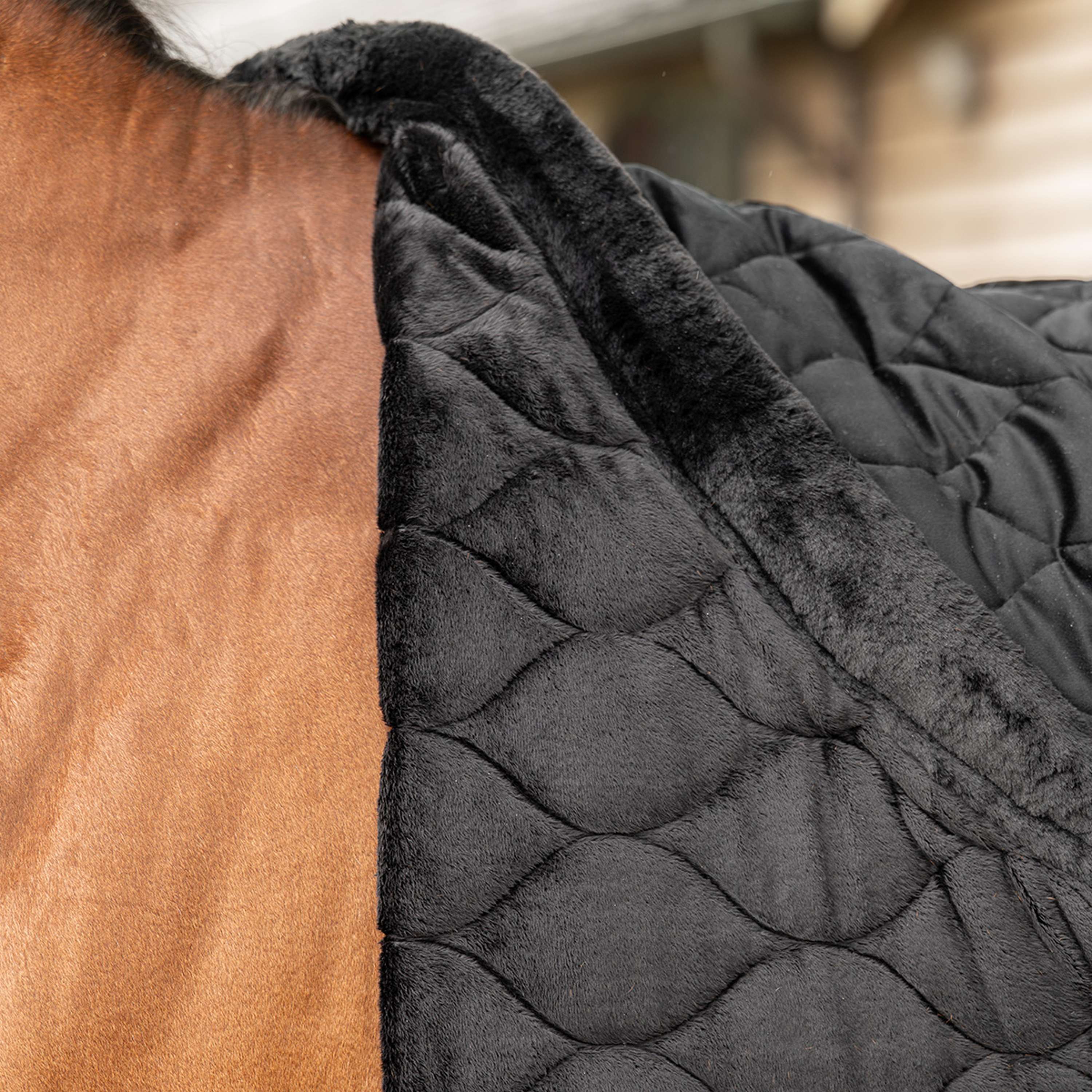 Velder Horsewear Premium Show Rug Satin Glow Black Night