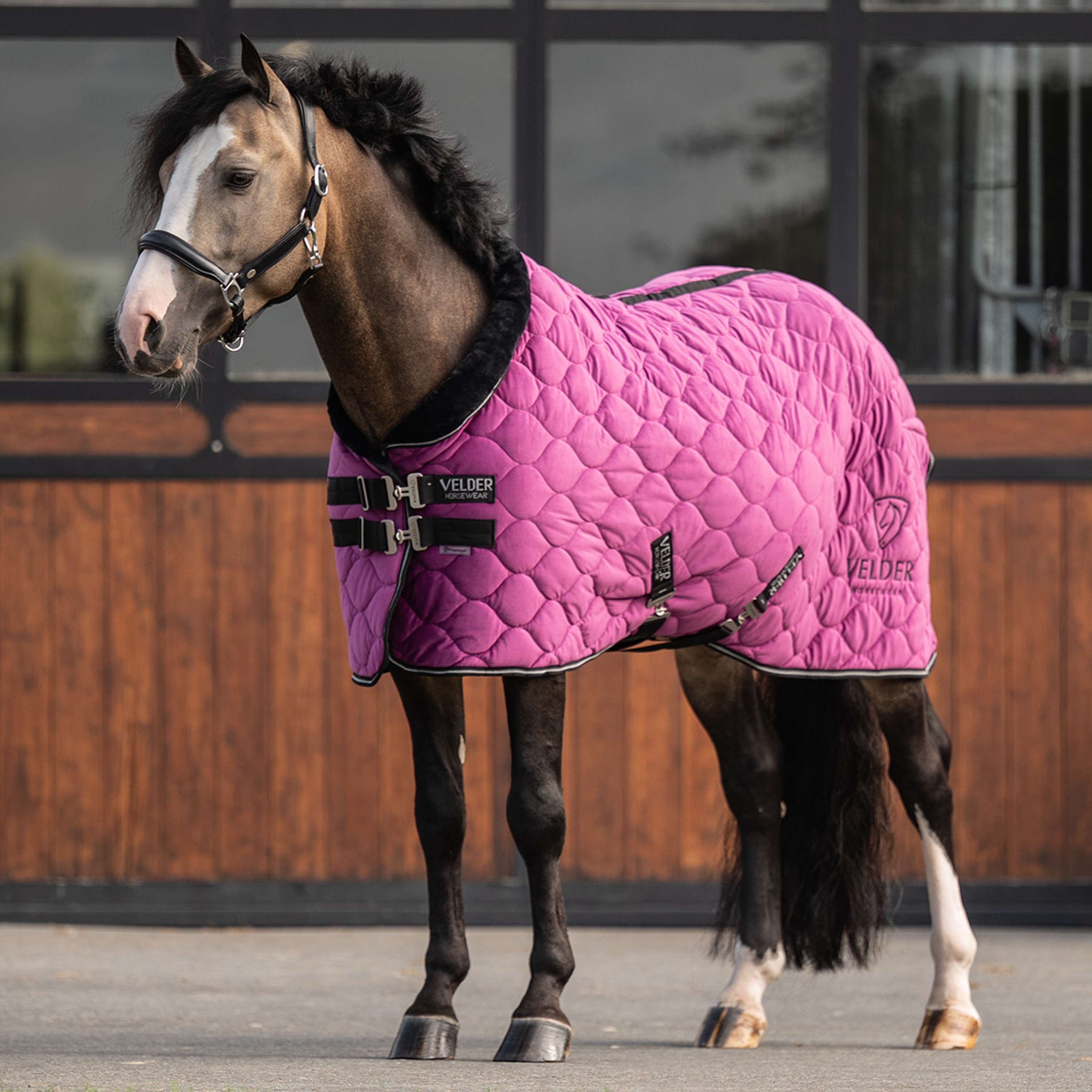 Velder Horsewear Premium Pony Show Rug Satin Glow Dutch Raspberry