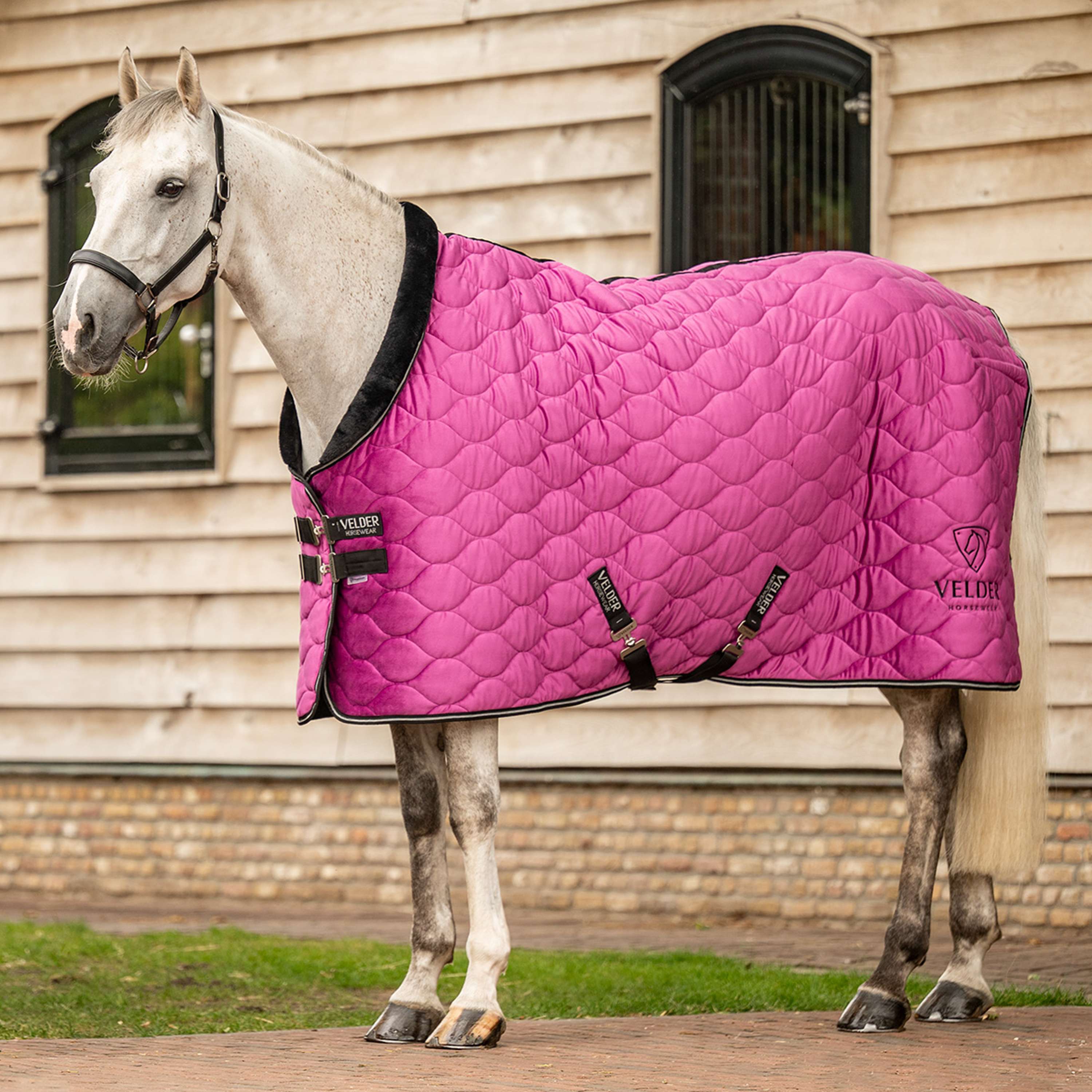 Velder Horsewear Premium Show Rug Satin Glow Dutch Raspberry