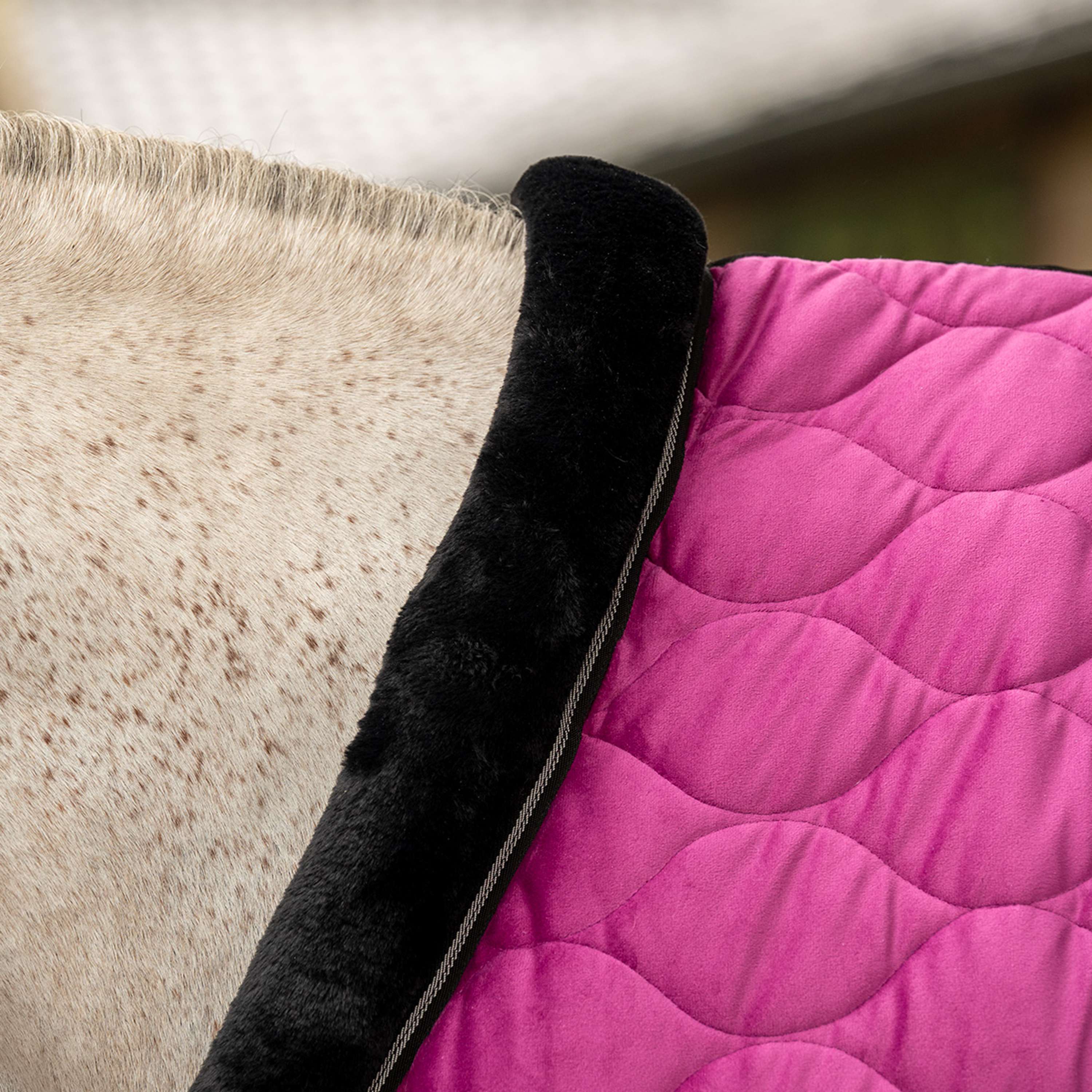 Velder Horsewear Premium Show Rug Satin Glow Dutch Raspberry