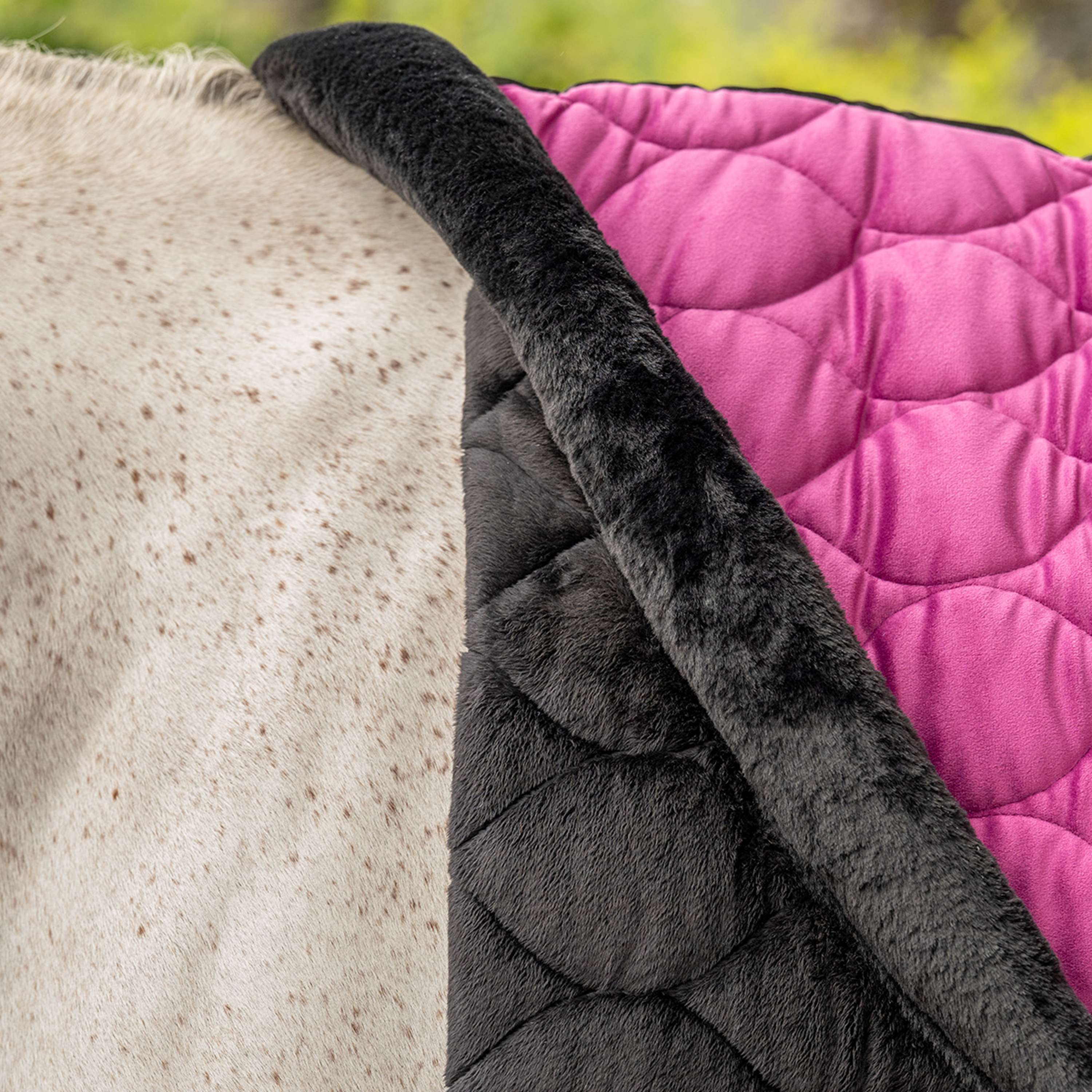 Velder Horsewear Premium Show Rug Satin Glow Dutch Raspberry