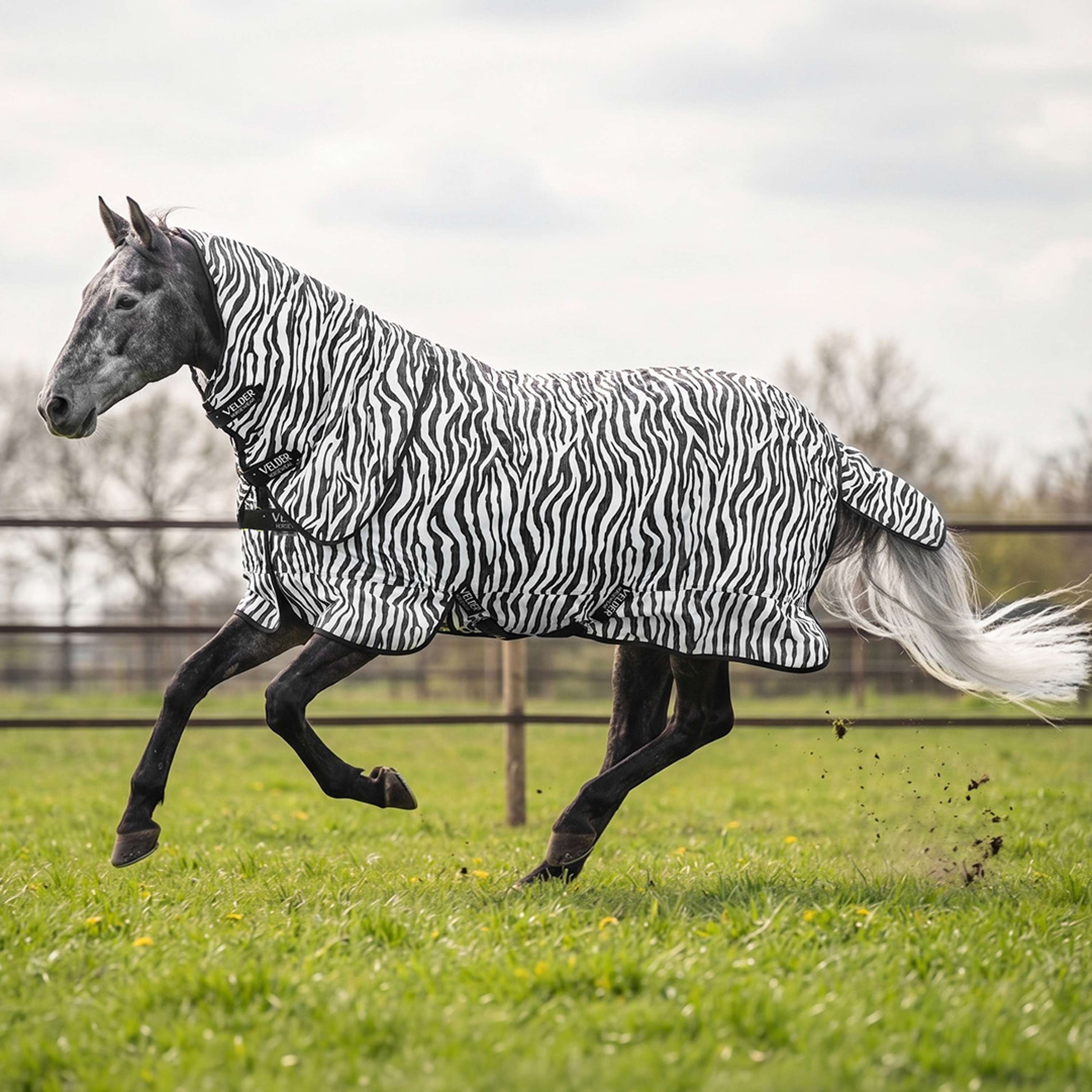 Velder Horsewear Essentials Fly Rug & Neck Zebra Black/White