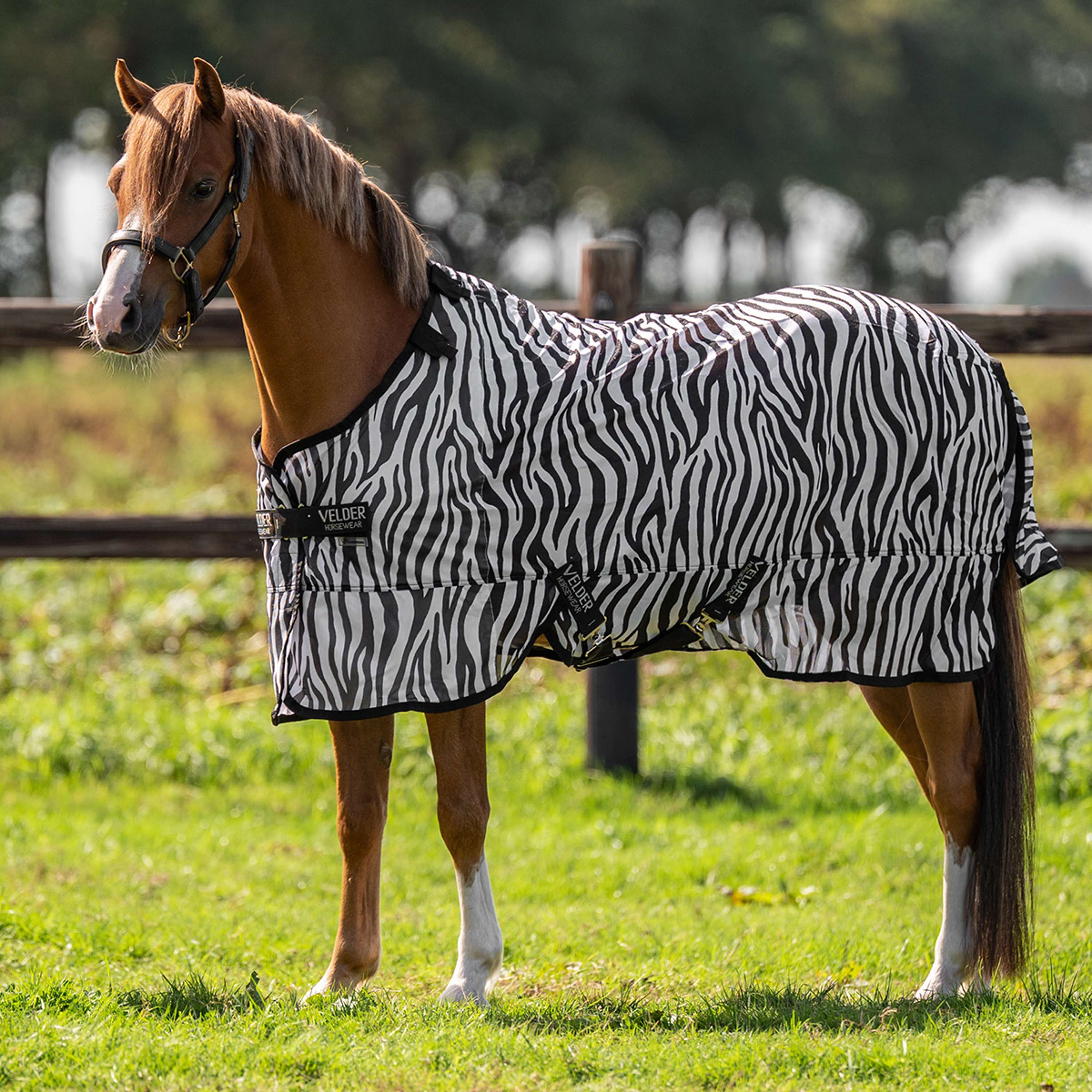 Velder Horsewear Essentials Pony Fly Rug & Neck Zebra Black/White