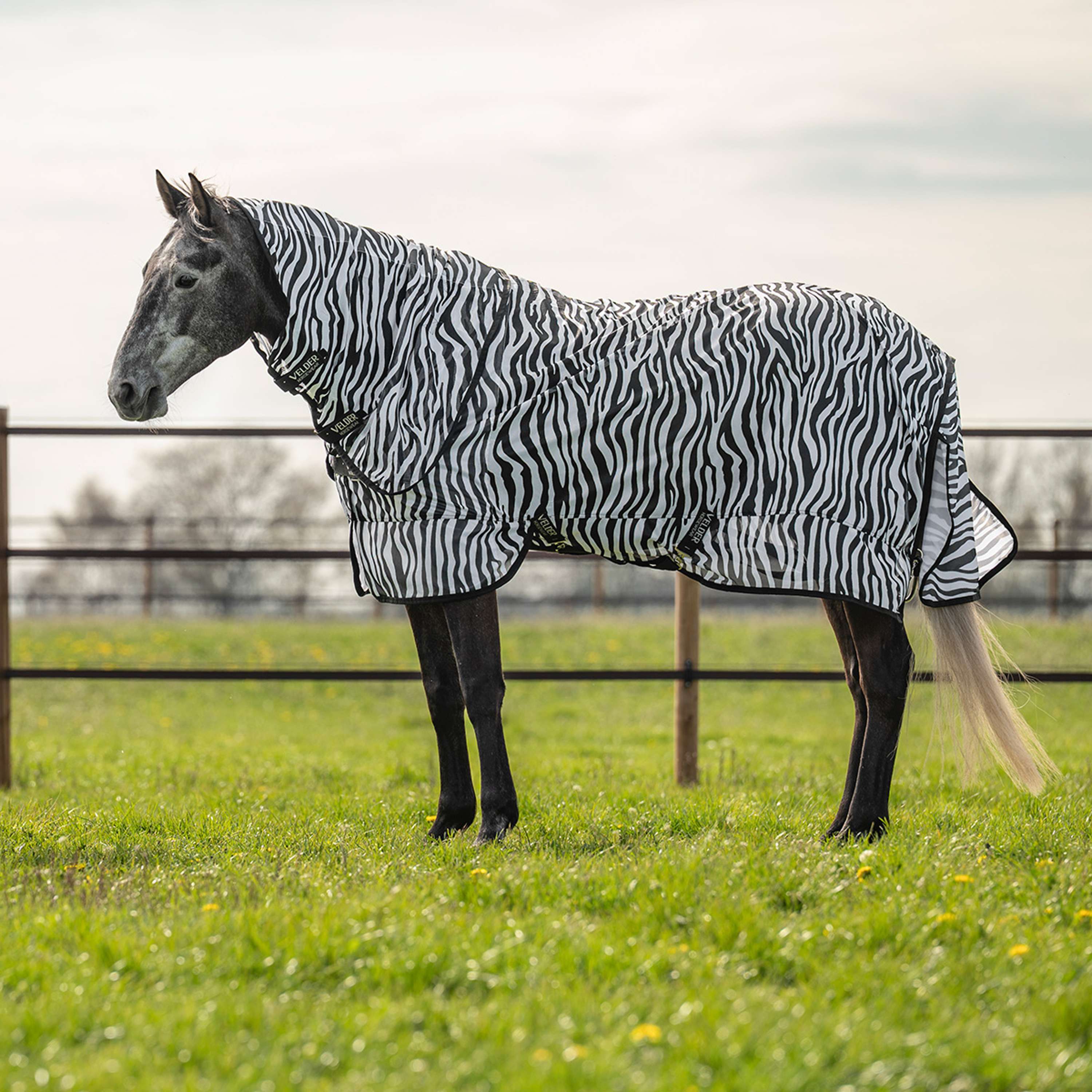 Velder Horsewear Essentials Fly Rug & Neck Zebra Black/White