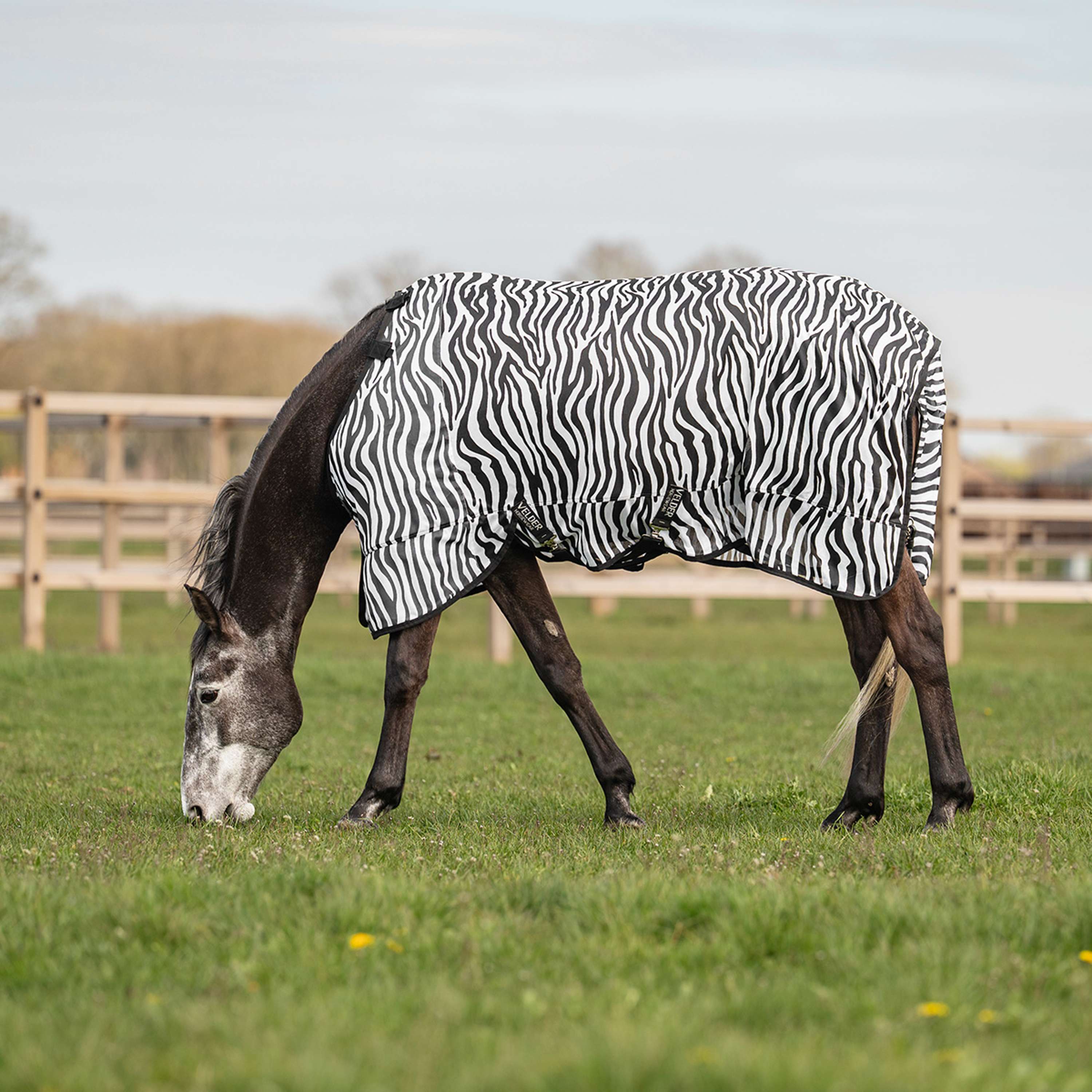 Velder Horsewear Essentials Fly Rug & Neck Zebra Black/White