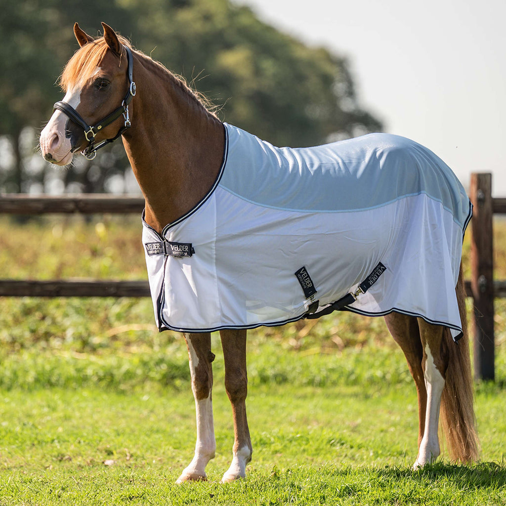 Velder Horsewear Essentials Pony Fly Rug Blush Blue