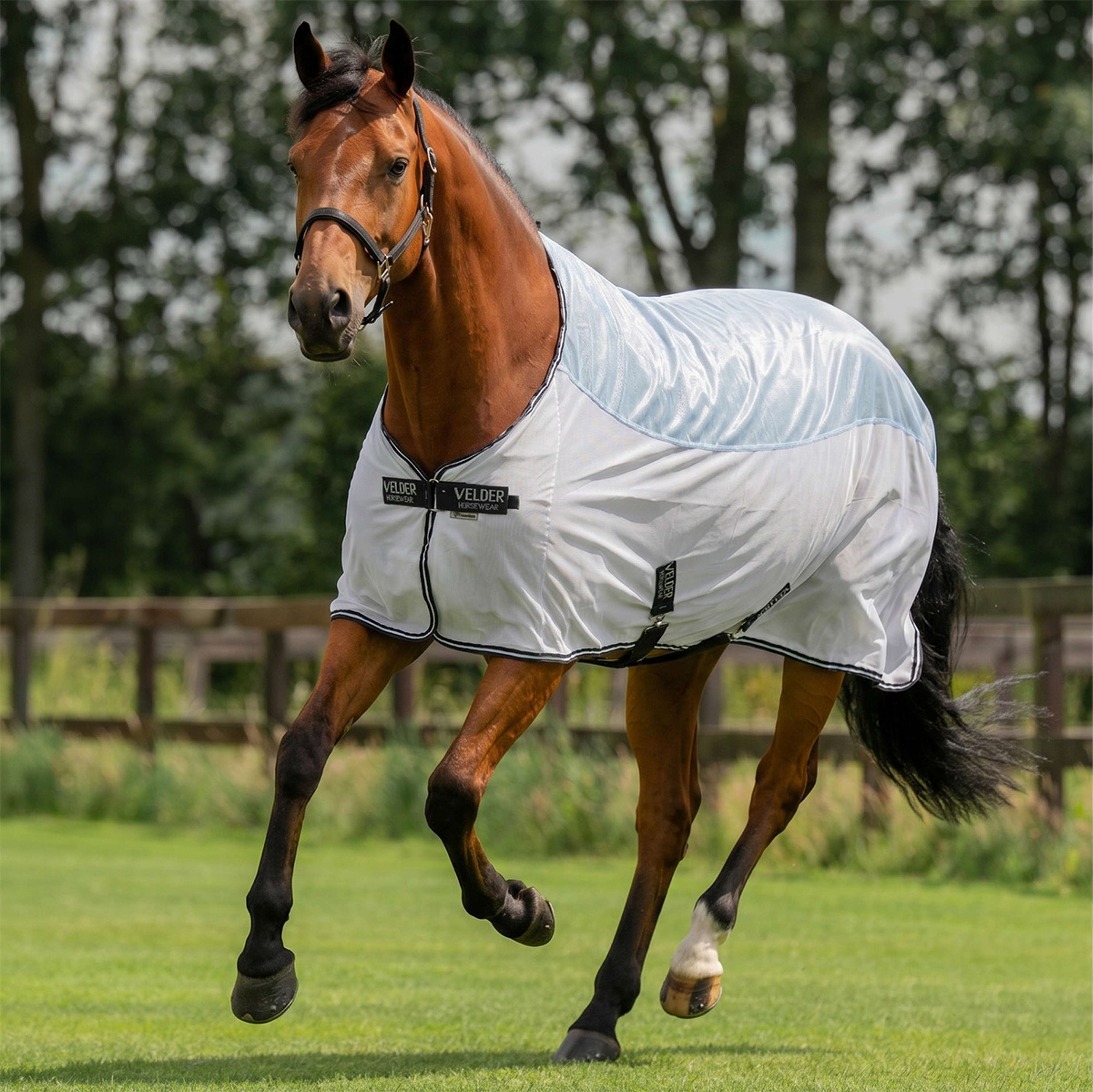 Velder Horsewear Essentials Fly Rug Blush Blue