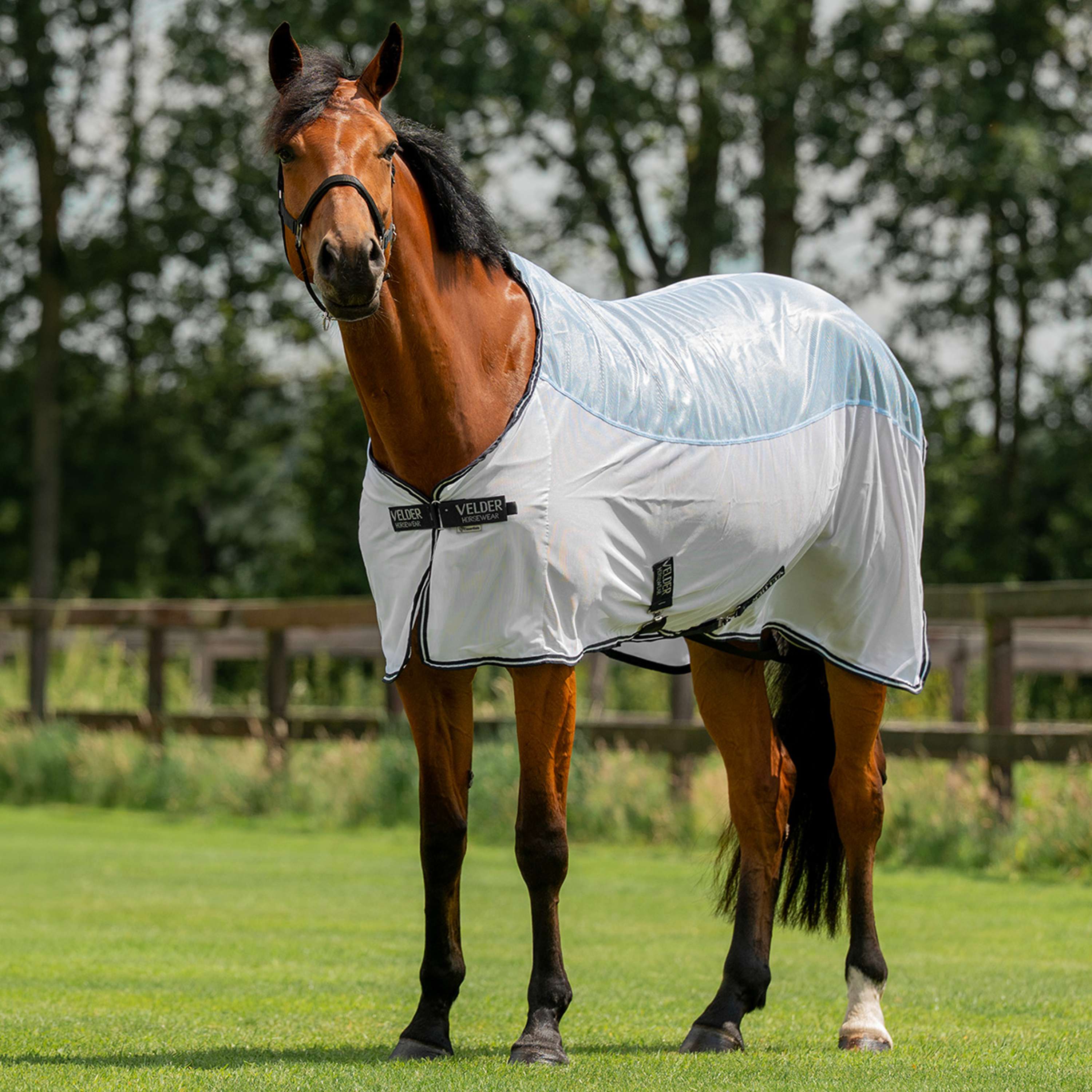 Velder Horsewear Essentials Fly Rug Blush Blue