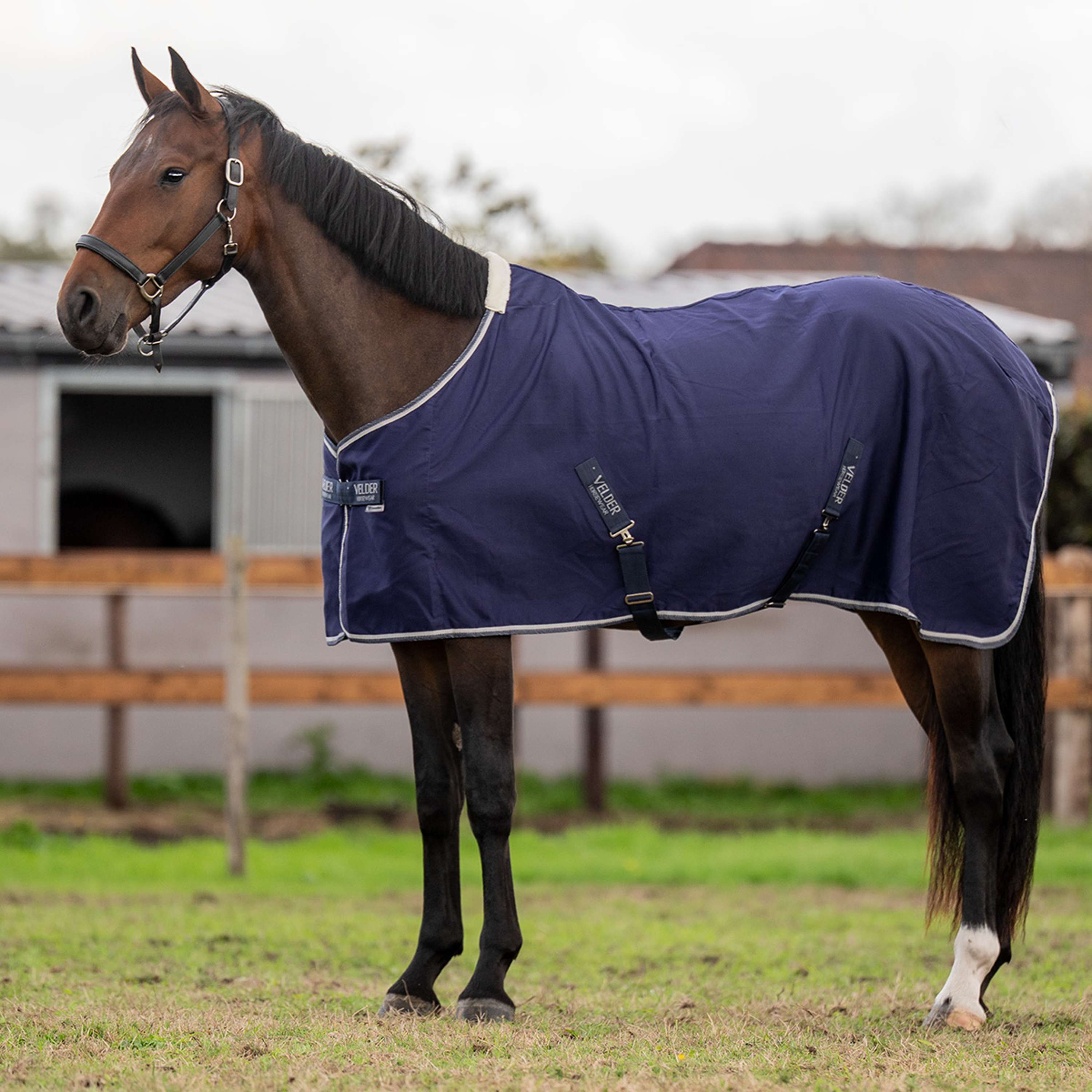 Velder Horsewear Essentials Summer Rug Navy