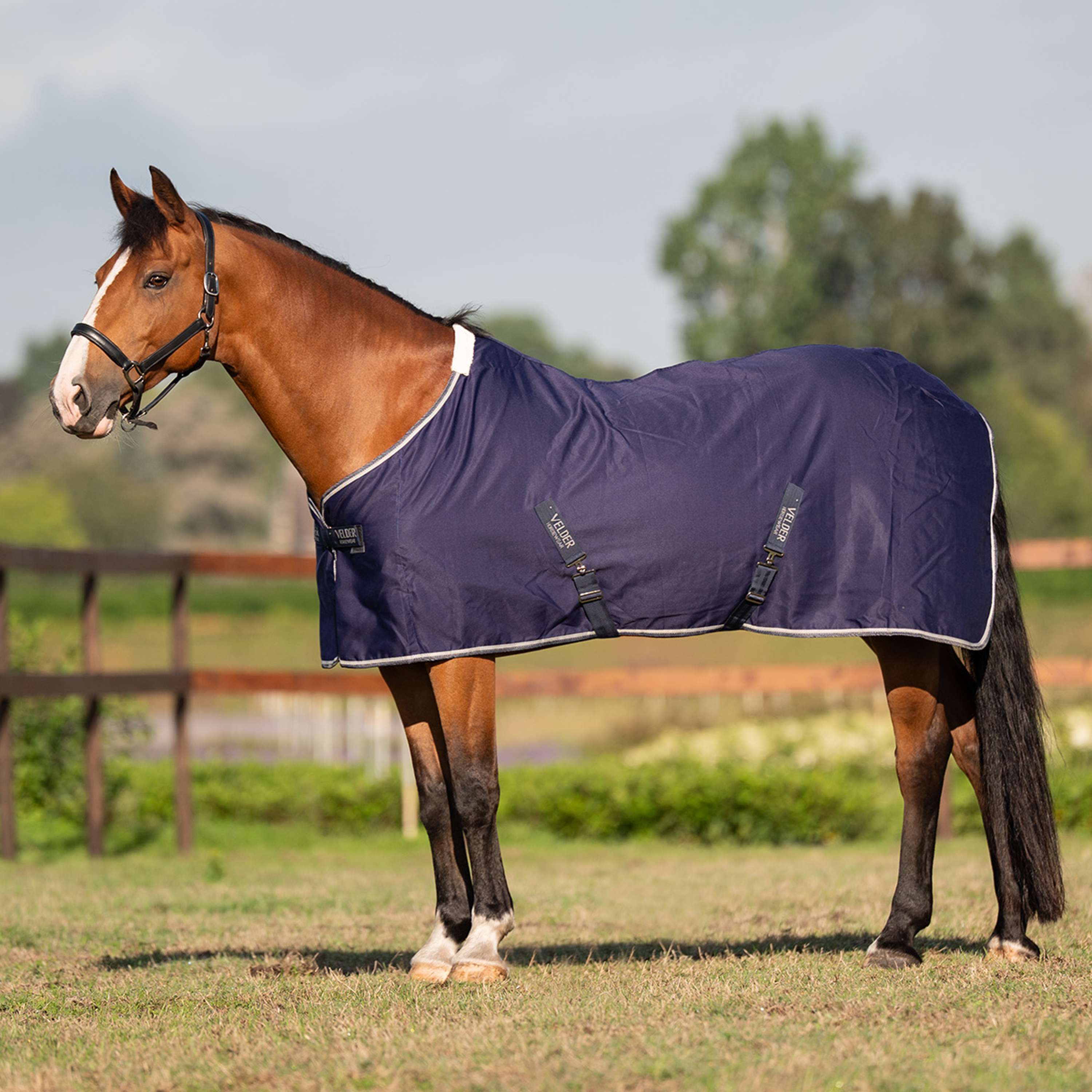 Velder Horsewear Essentials Summer Rug Navy
