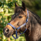 Velder Horsewear Essentials Halter Basic Navy