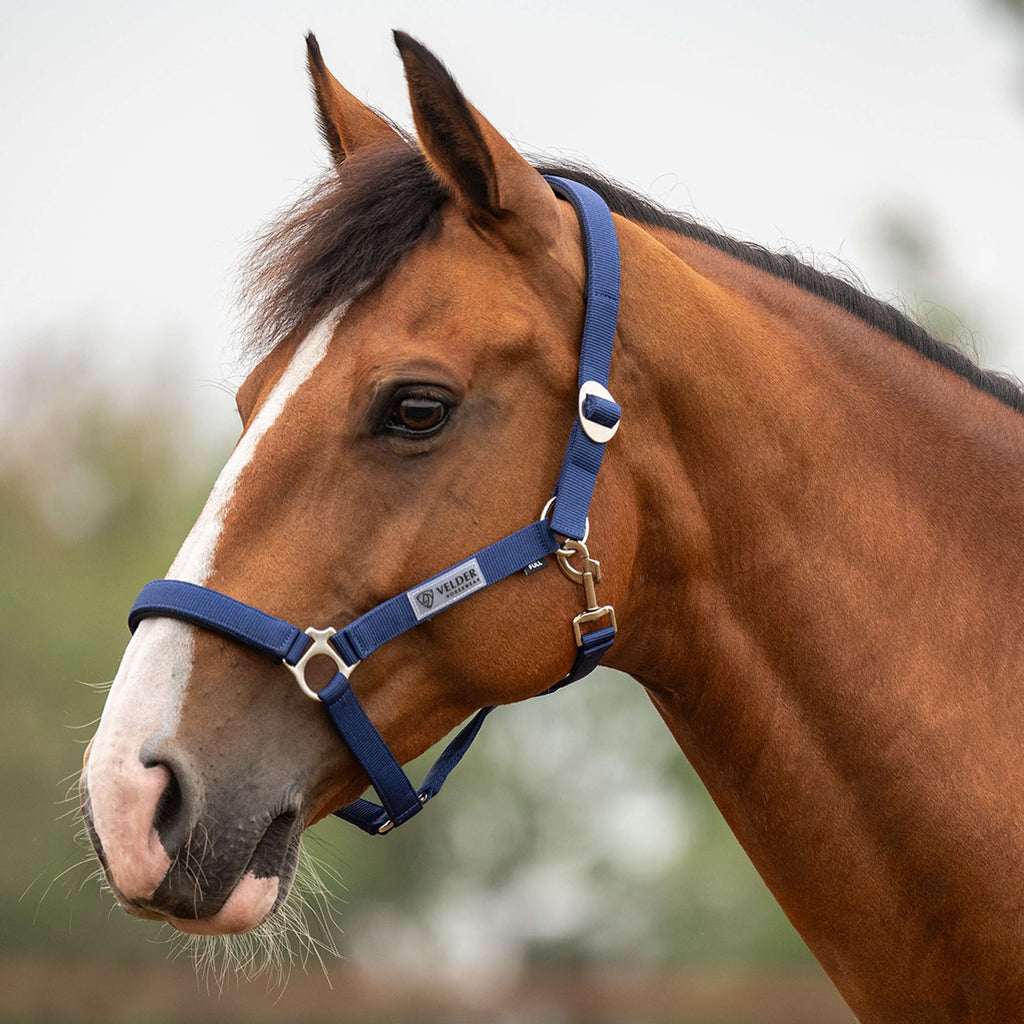 Velder Horsewear Essentials Halter Basic Padded Navy