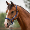 Velder Horsewear Essentials Halter Basic Padded Navy