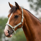 Velder Horsewear Essentials Halter Basic Padded Green