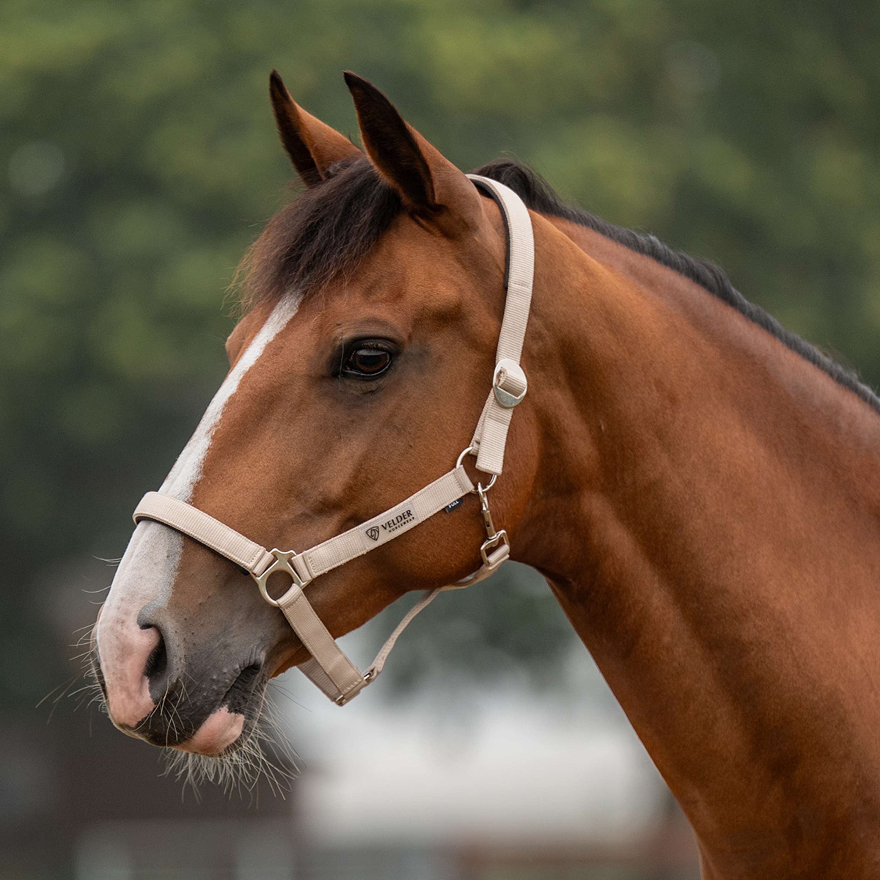 Velder Horsewear Essentials Halter Basic Padded Sand Dollar