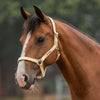 Velder Horsewear Essentials Halter Basic Padded Healing Yellow
