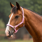 Velder Horsewear Essentials Halter Basic Padded Pop Pink
