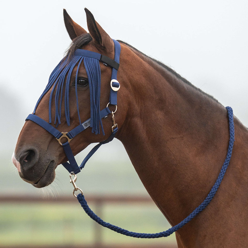Velder Horsewear Essentials Head Collar Set Basic Summer Navy