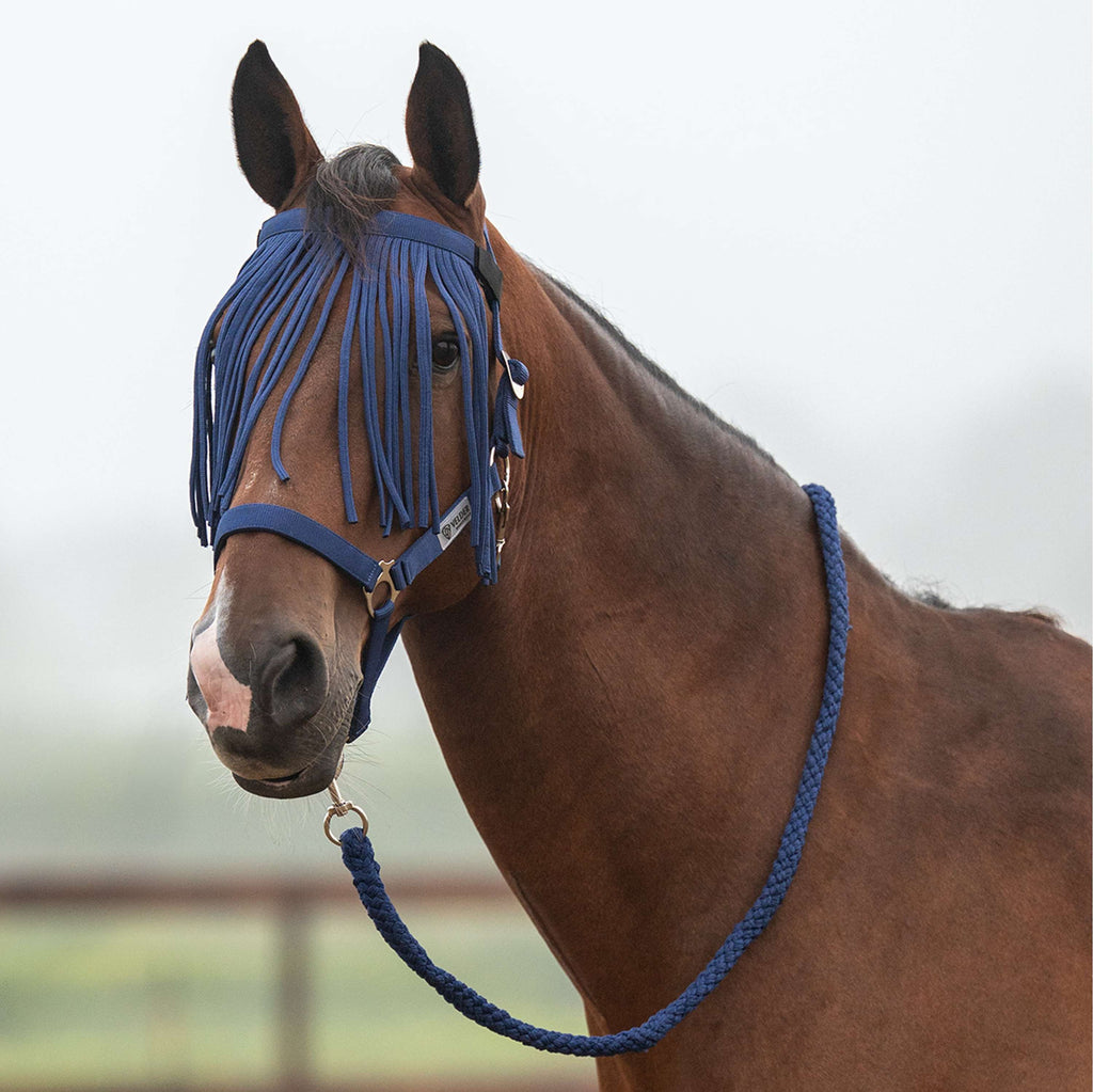 Velder Horsewear Essentials Head Collar Set Basic Summer Navy
