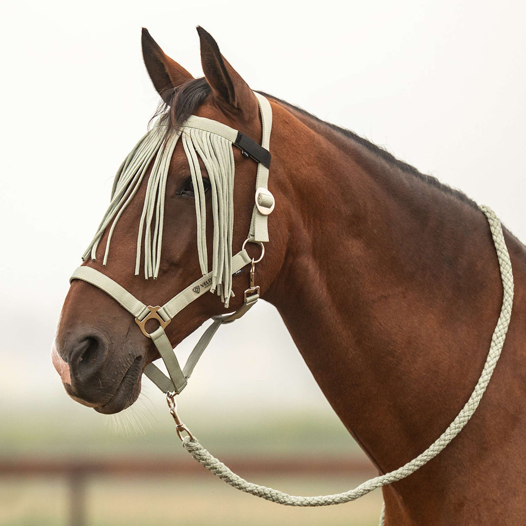 Velder Horsewear Essentials Head Collar Set Basic Summer Green