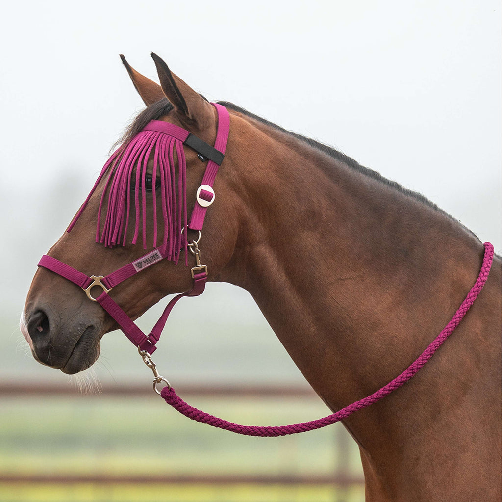 Velder Horsewear Essentials Head Collar Set Basic Summer Boysenberry