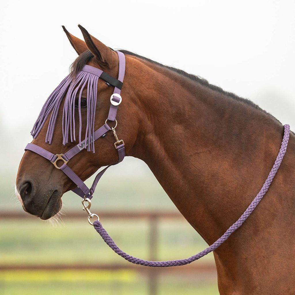 Velder Horsewear Essentials Head Collar Set Basic Summer Purple Sage