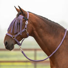 Velder Horsewear Essentials Head Collar Set Basic Summer Purple Sage